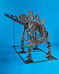 Dinosauria:Jurassic, THE FIGHTING PAIR - ALLOSAURUS VS STEGOSAURUS. ... (Total: 2 Items)