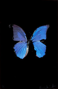 Photographs:Contemporary, DAMIEN HIRST (British, b. 1965). The Soul on Jacob's Ladder,2005. Silkscreen on sommerset satin. 39 x 26 inches (99.1 x...