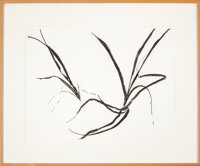 Post-War & Contemporary:Contemporary, SUSAN HARTNETT (American, b. 1940). American dune grass, Leymusmollis #1, 2000. Charcoal on paper. 18 x 24 inches (45.7...