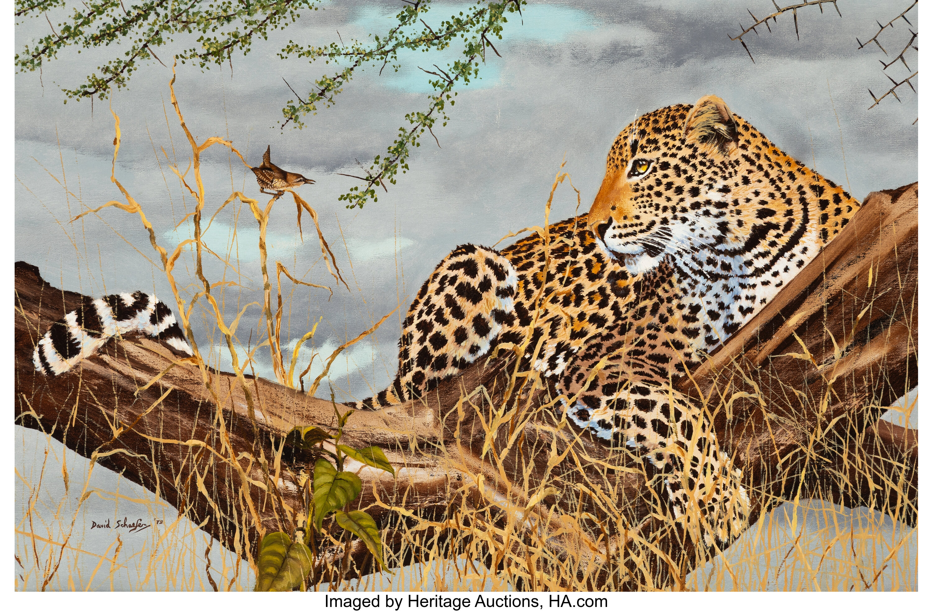 David Schaefer (American, 1949-2012). Cheetah, 1973. Oil on canvas ...