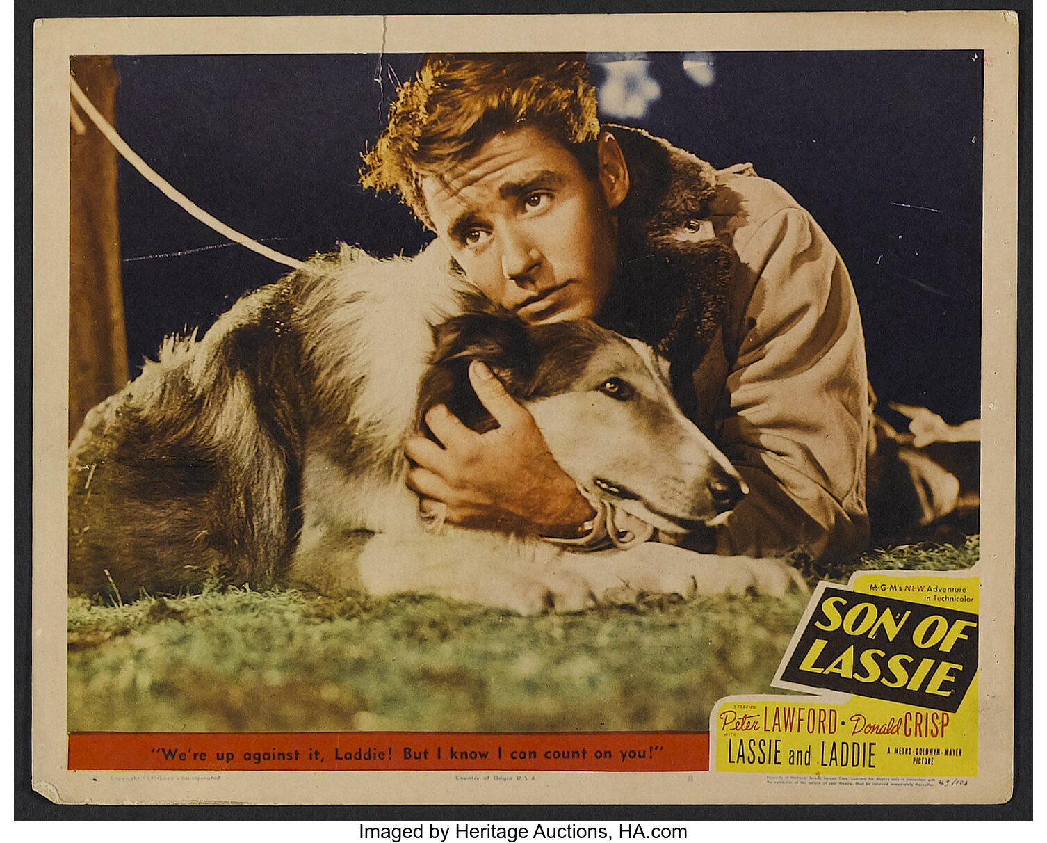 Son Of Lassie Mgm 1945 Lobby Cards 3 11 X 14 Adventure Lot 26188 Heritage Auctions 