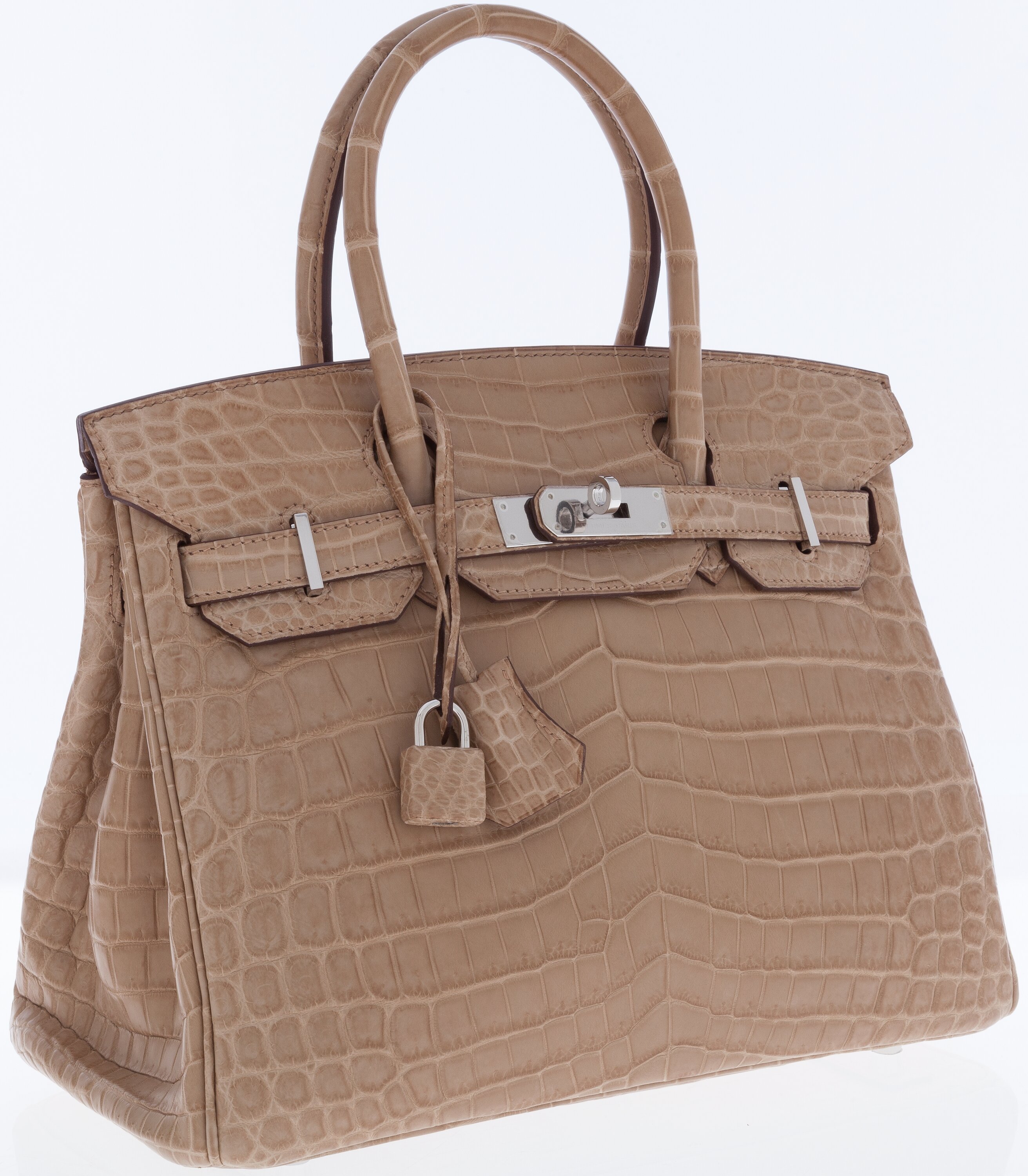 Hermes Birkin Bag 25cm Gris Elephant Lizard Palladium Hardware