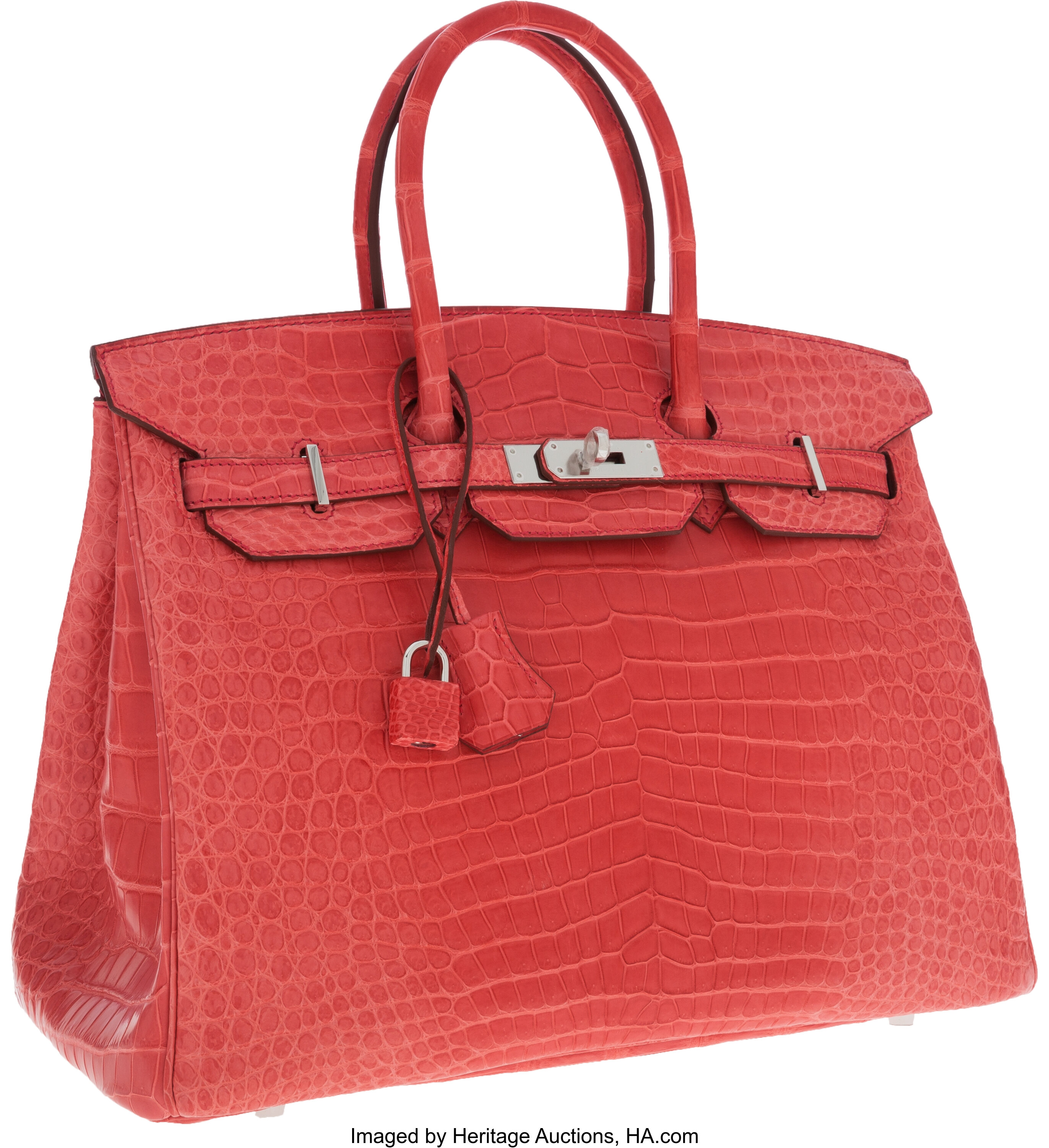 Hermes Hac 50 Birkin Bag Crocodile Mat Porosus Crocodile Palladium New