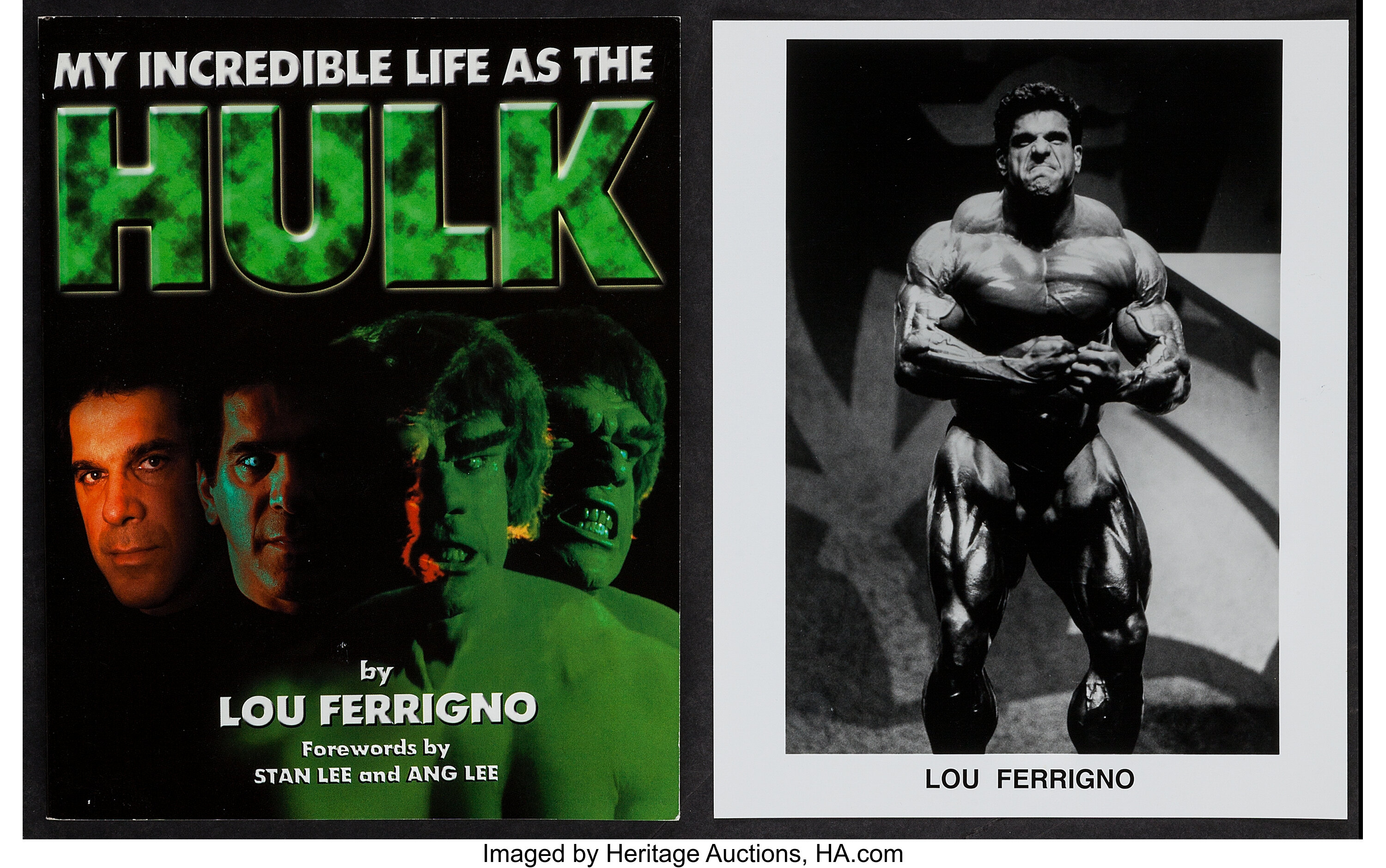 lou ferrigno hulk 2003