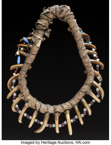 Grizzly hot sale claw necklace