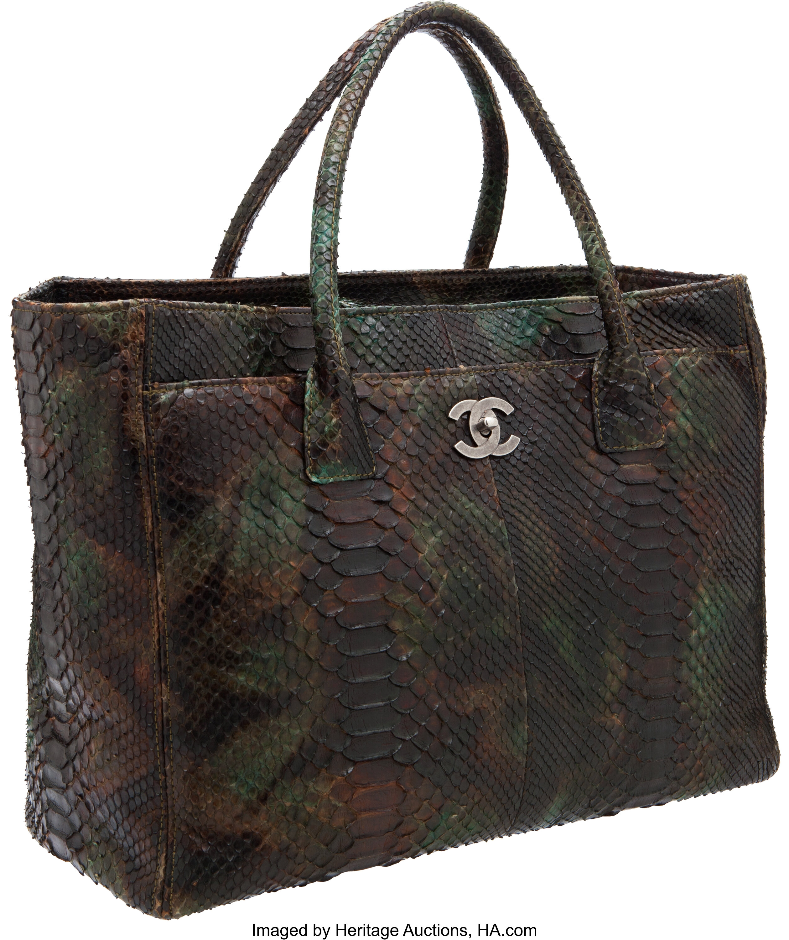 Chanel Green and Brown Multicolor Python Snakeskin Cerf Tote Handbag