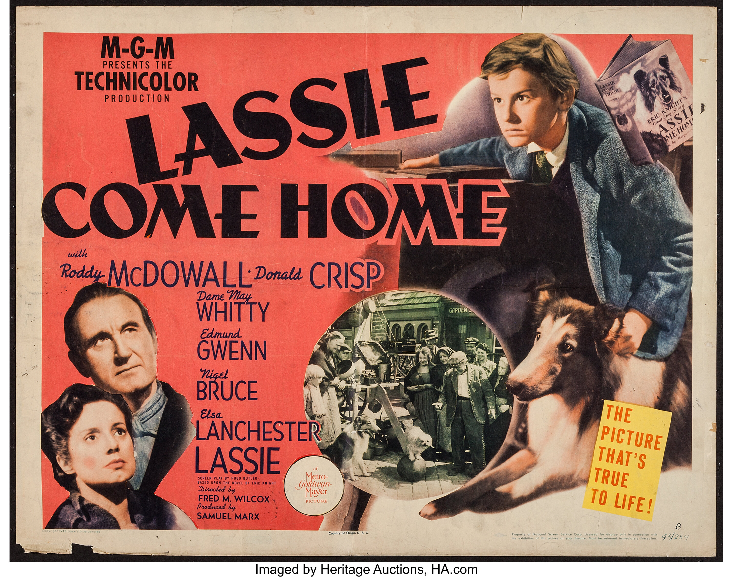 Challenge to Lassie'' movie poster, 1949 Mixed Media by Movie