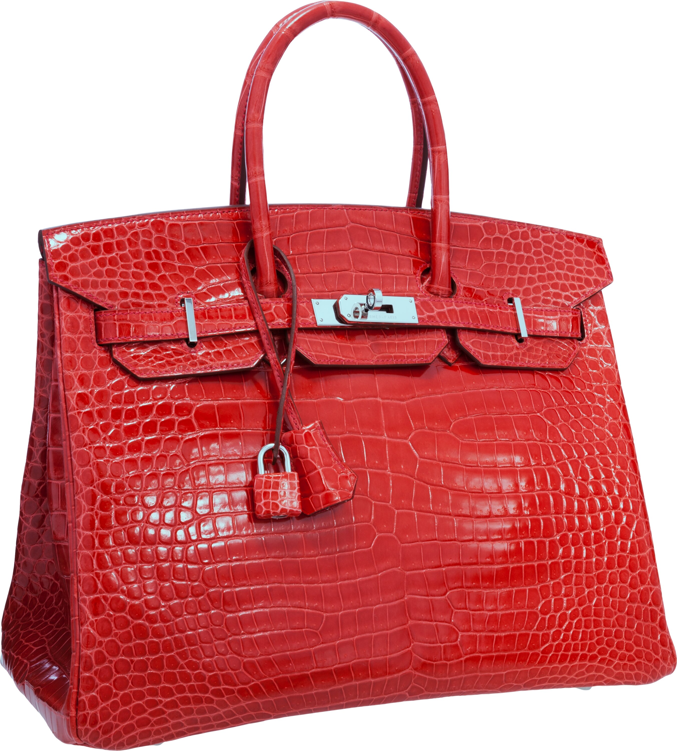 Bougainvillea Shiny Porosus Crocodile Birkin 25 Palladium Hardware, 2018, Handbags & Accessories, 2023