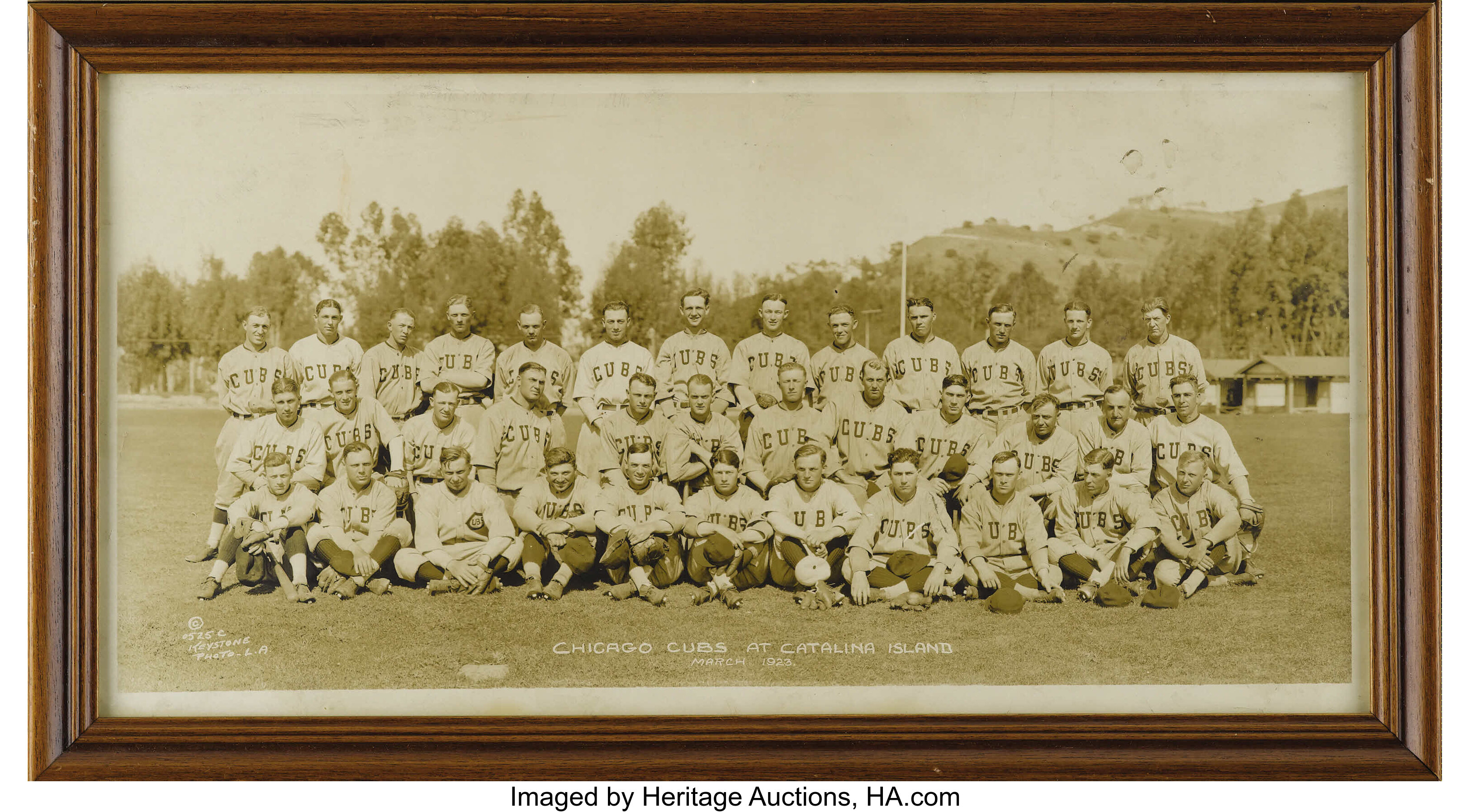 Chicago Cubs on Catalina Island