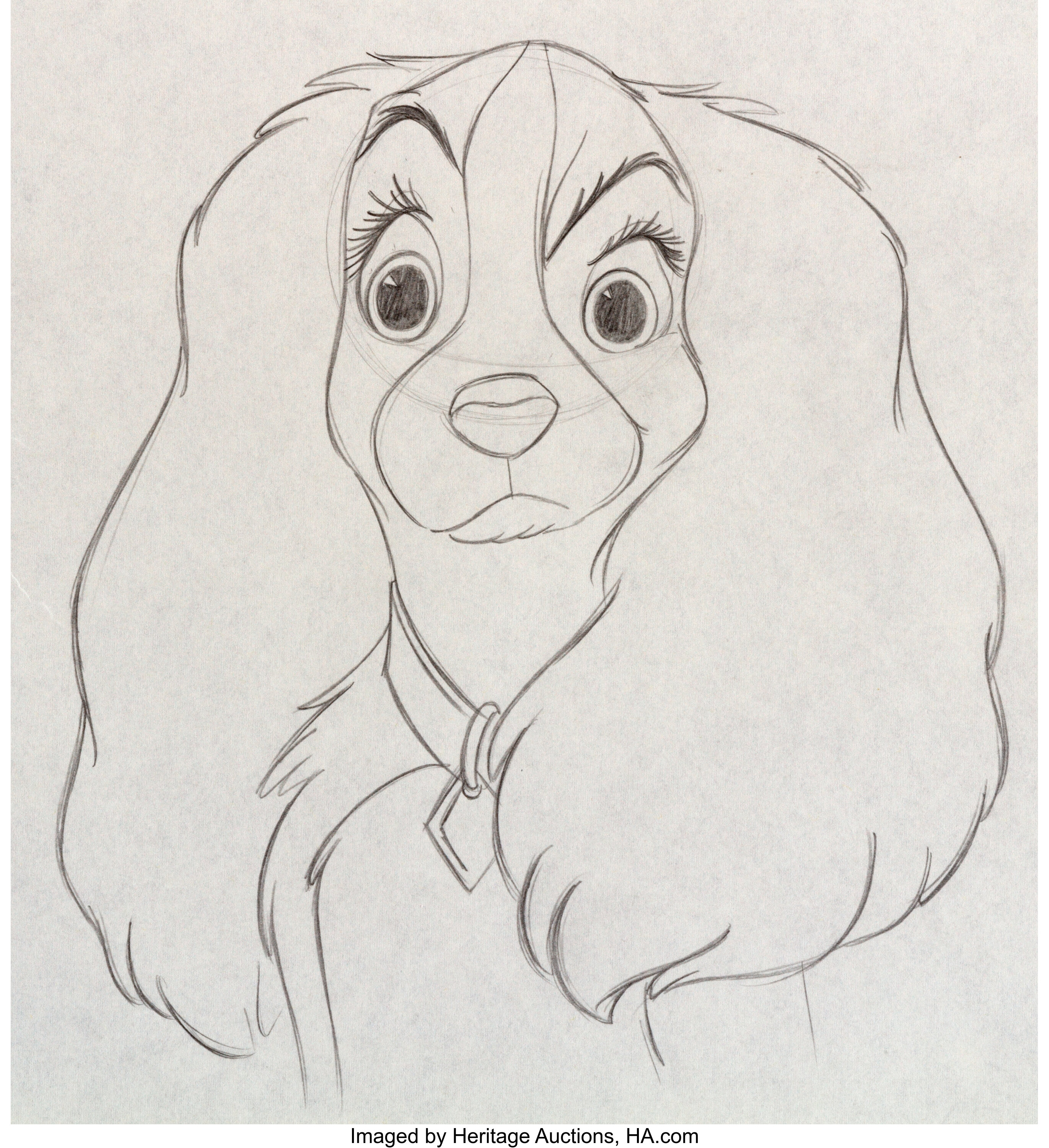 Lady And The Tramp Lady Animation Drawing Walt Disney 1955 Lot Heritage Auctions