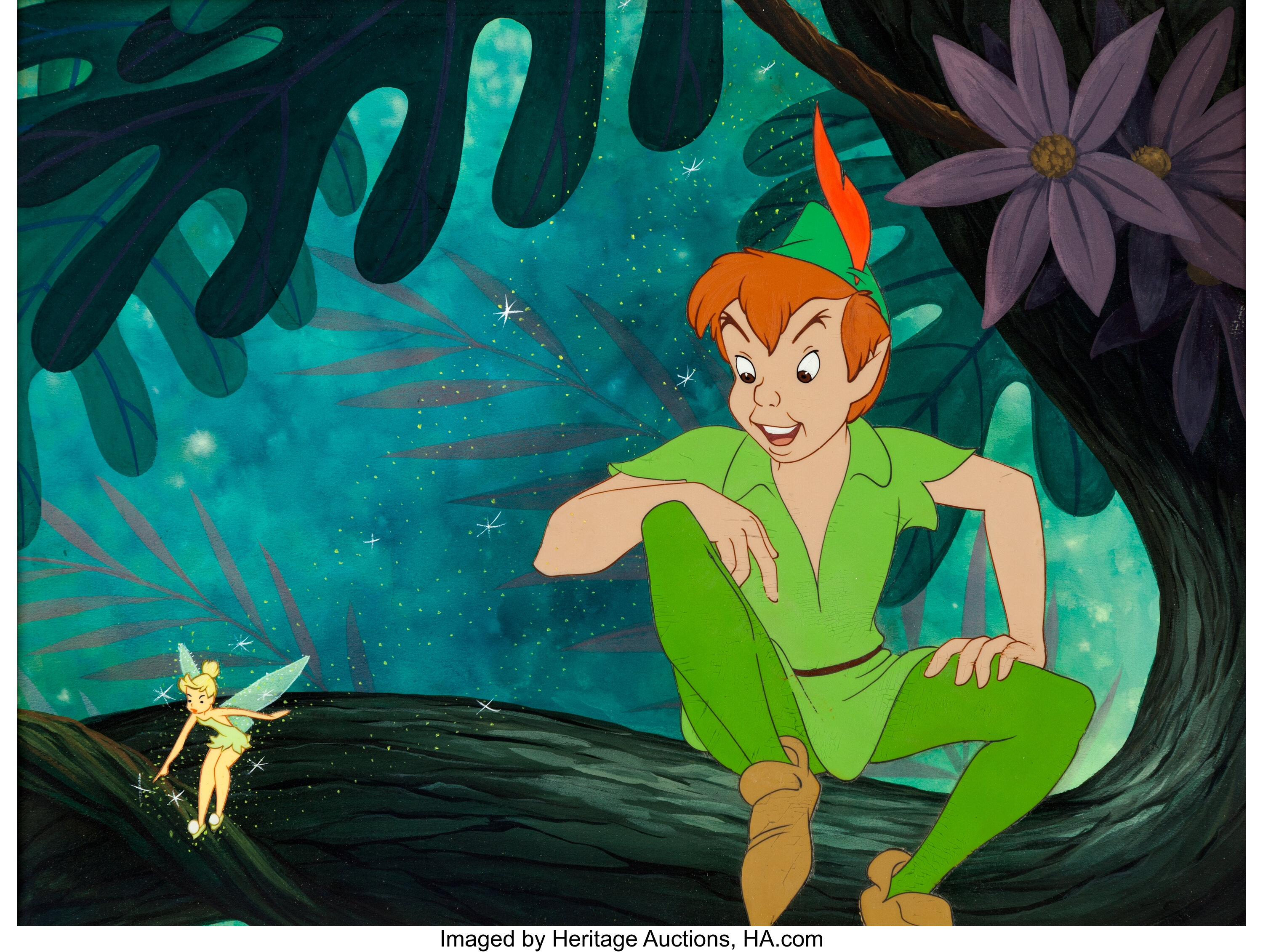 tinkerbell peter pan