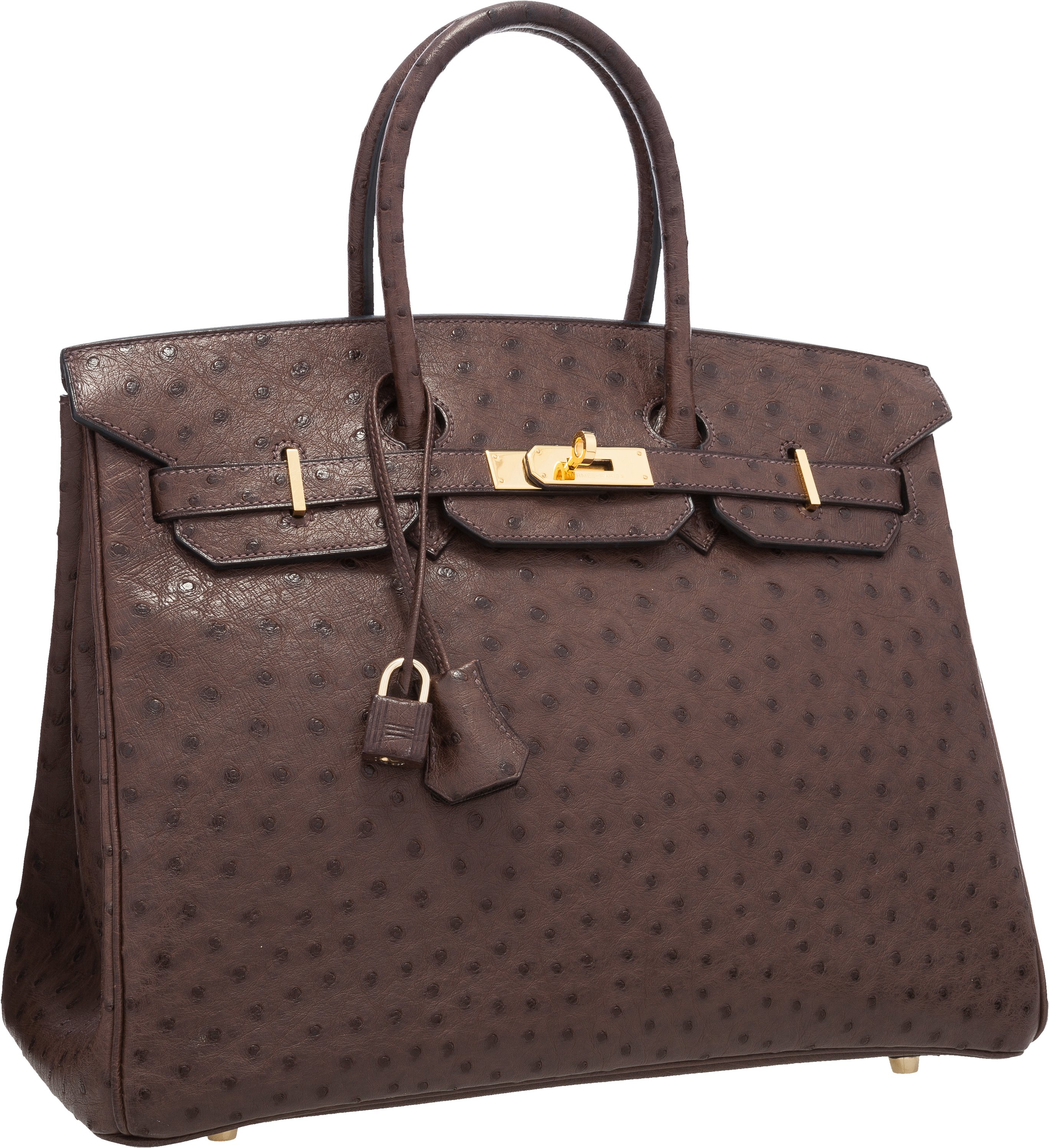 Hermes Birkin Bag Ostrich Leather Gold Hardware In Brown