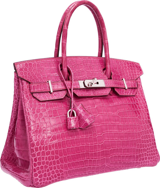 Bougainvillea Shiny Porosus Crocodile Birkin 25 Palladium Hardware, 2018, Handbags & Accessories, 2023