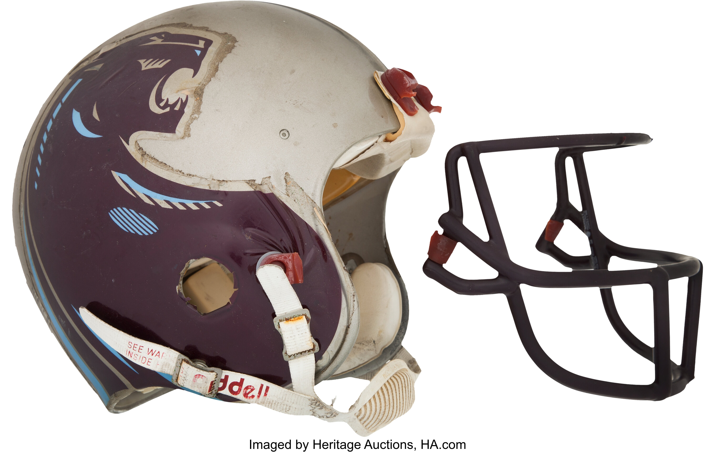 Michigan Panthers - USFL (1983 - 1984) - I rooted for them - still