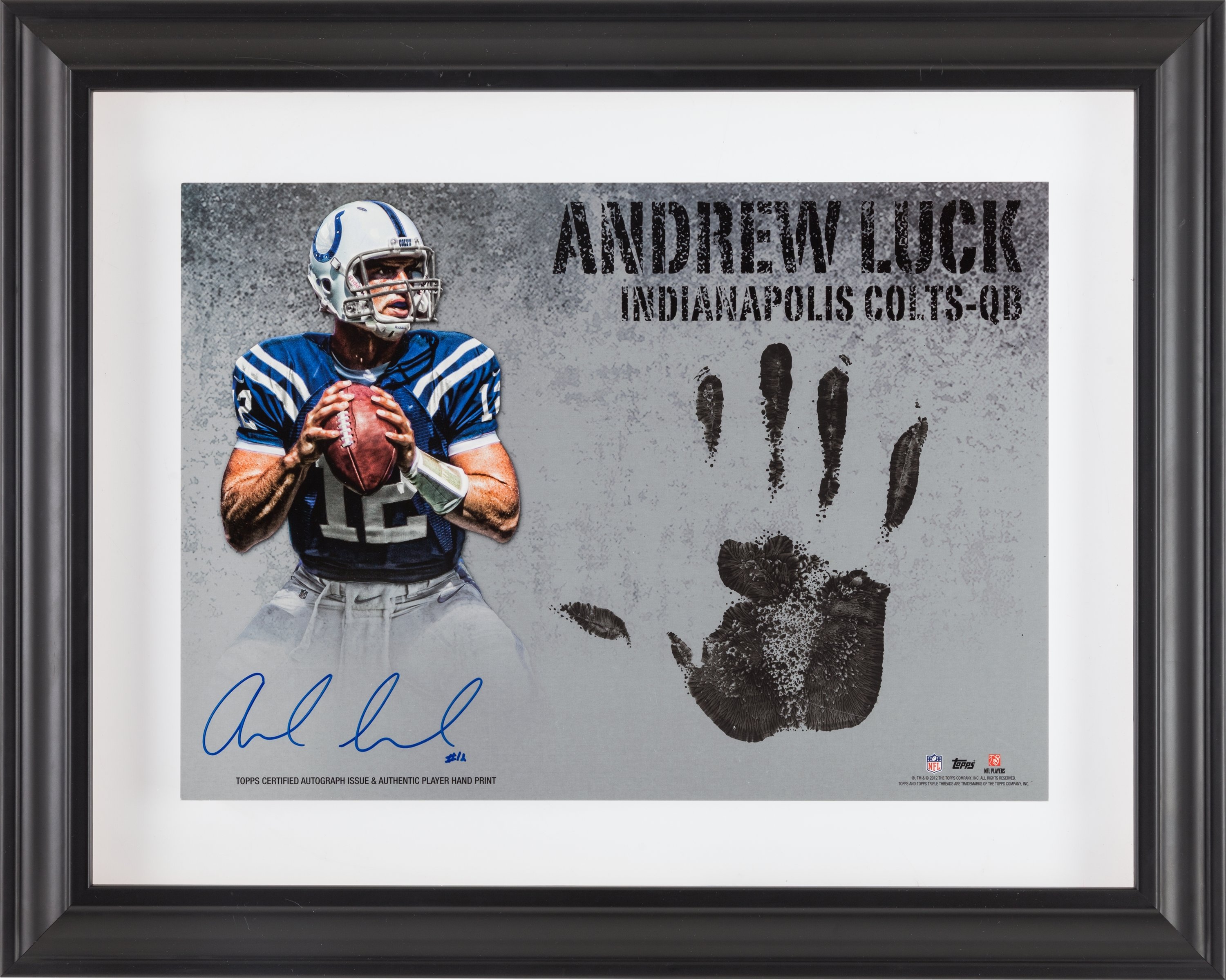 Indianapolis Colts 2015 Team Signed Autographed Logo Football Luck – Sports- Autographs.com