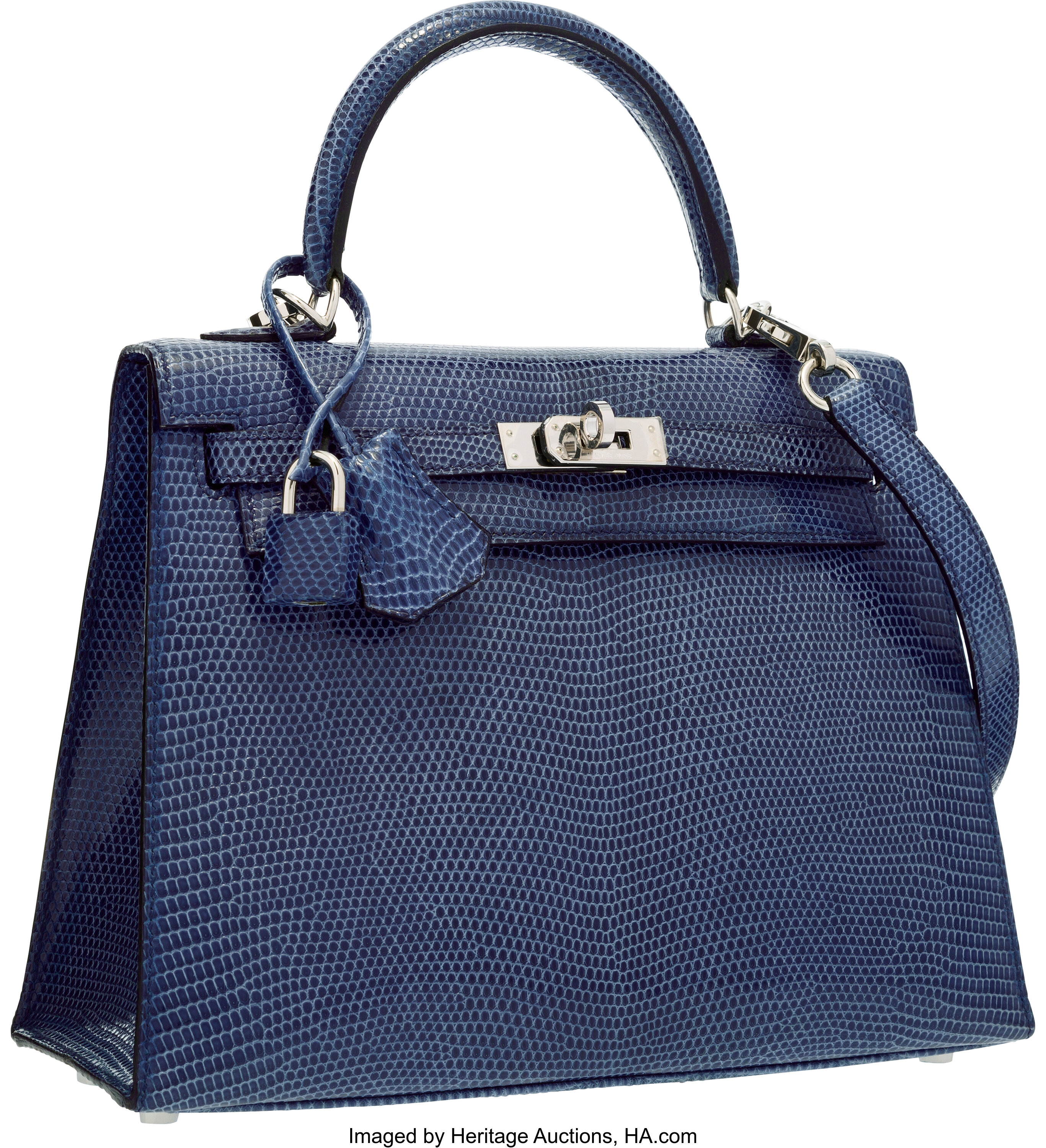 Lizard 2025 kelly bag