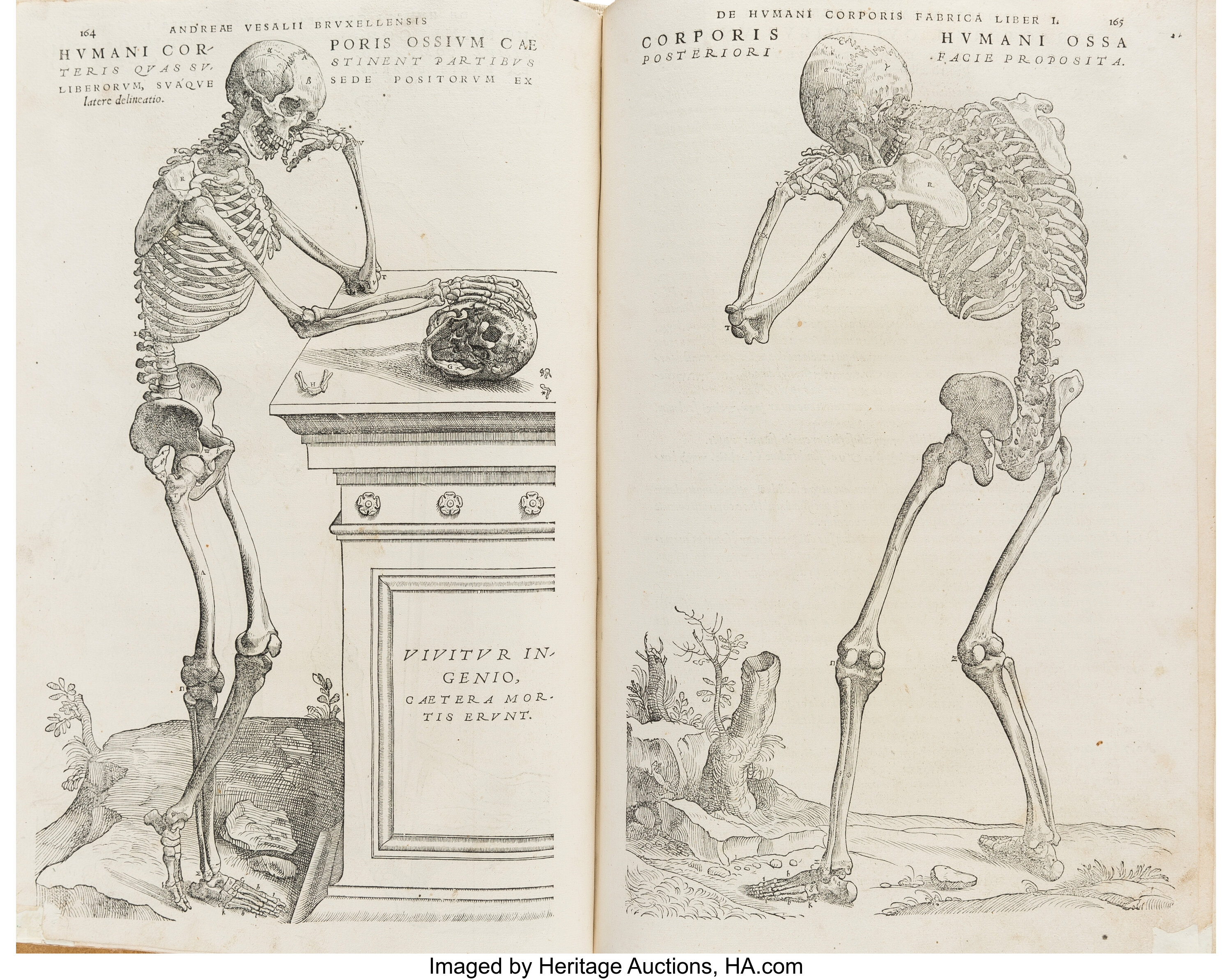 Кни ги Andreas Vesalius Bruxellensis «de Humani corporis fabrica libri Septem» (1543