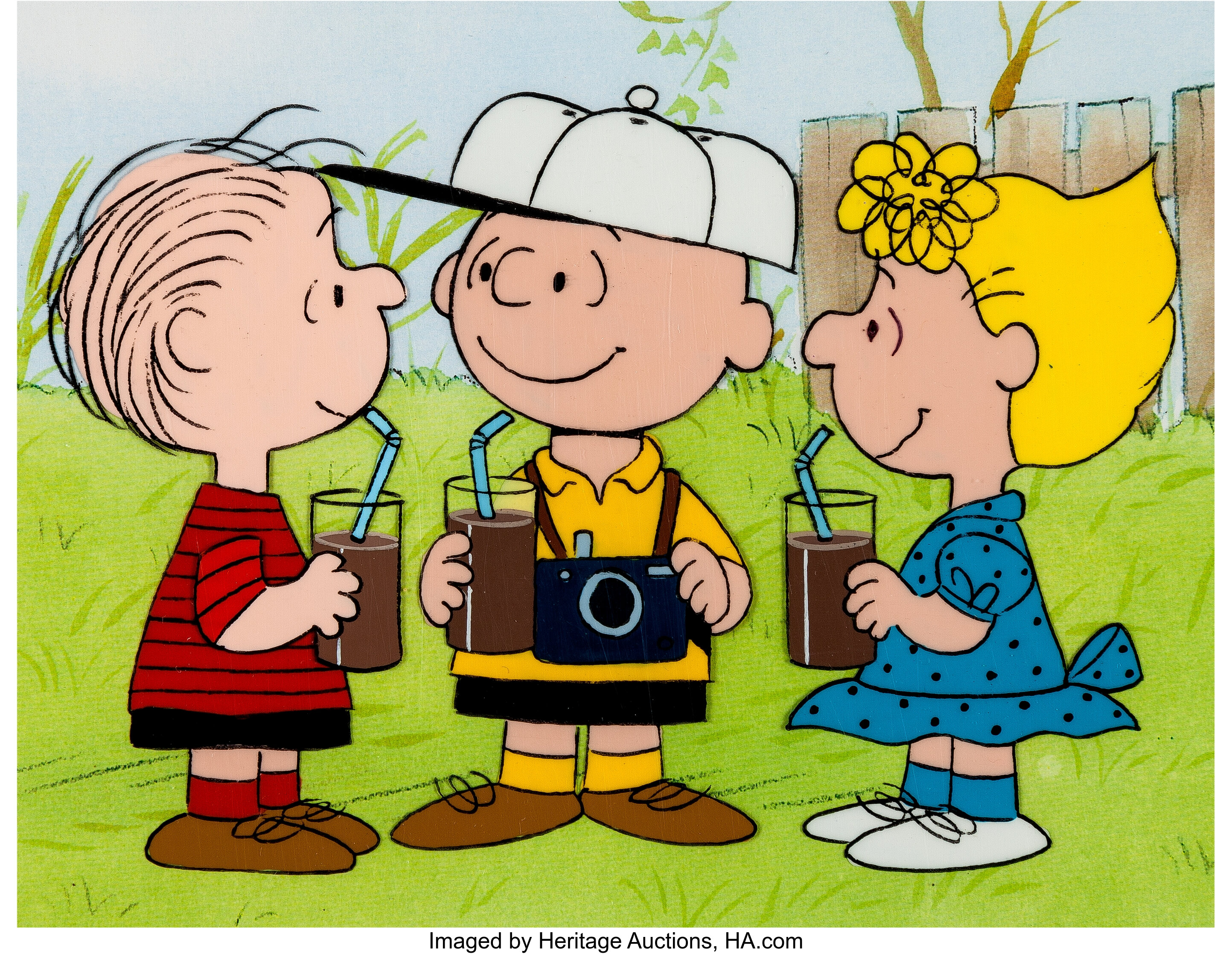 Peanuts The Charlie Brown and Snoopy Show Charlie and Sally Brown