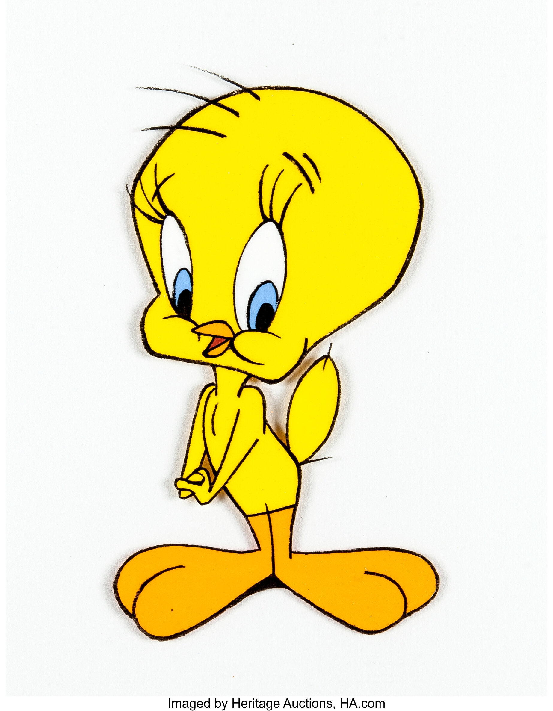 drawings of tweety bird in color