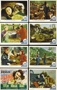 3 LASSIE Films LASSIE COME HOME SON of LASSIE Elizabeth Taylor