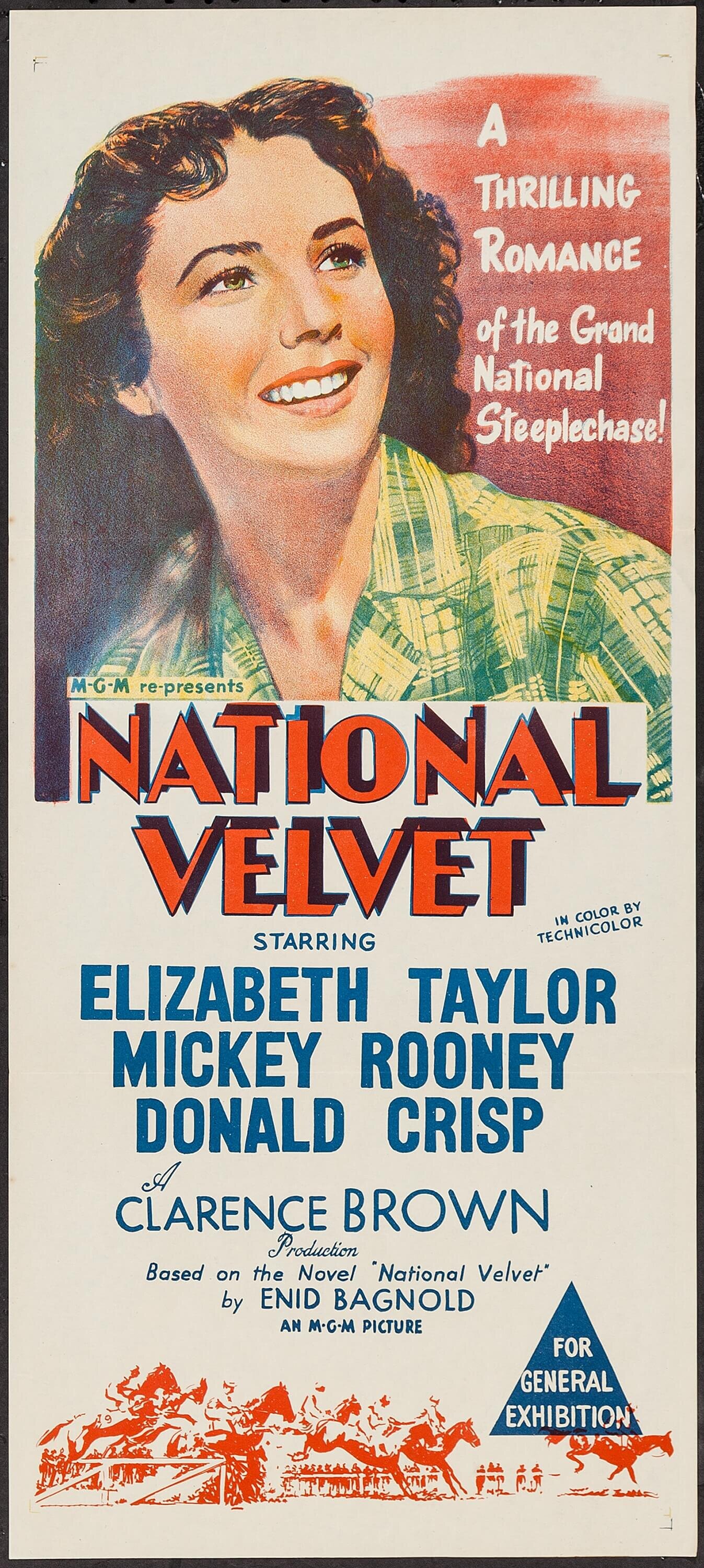 international velvet movie