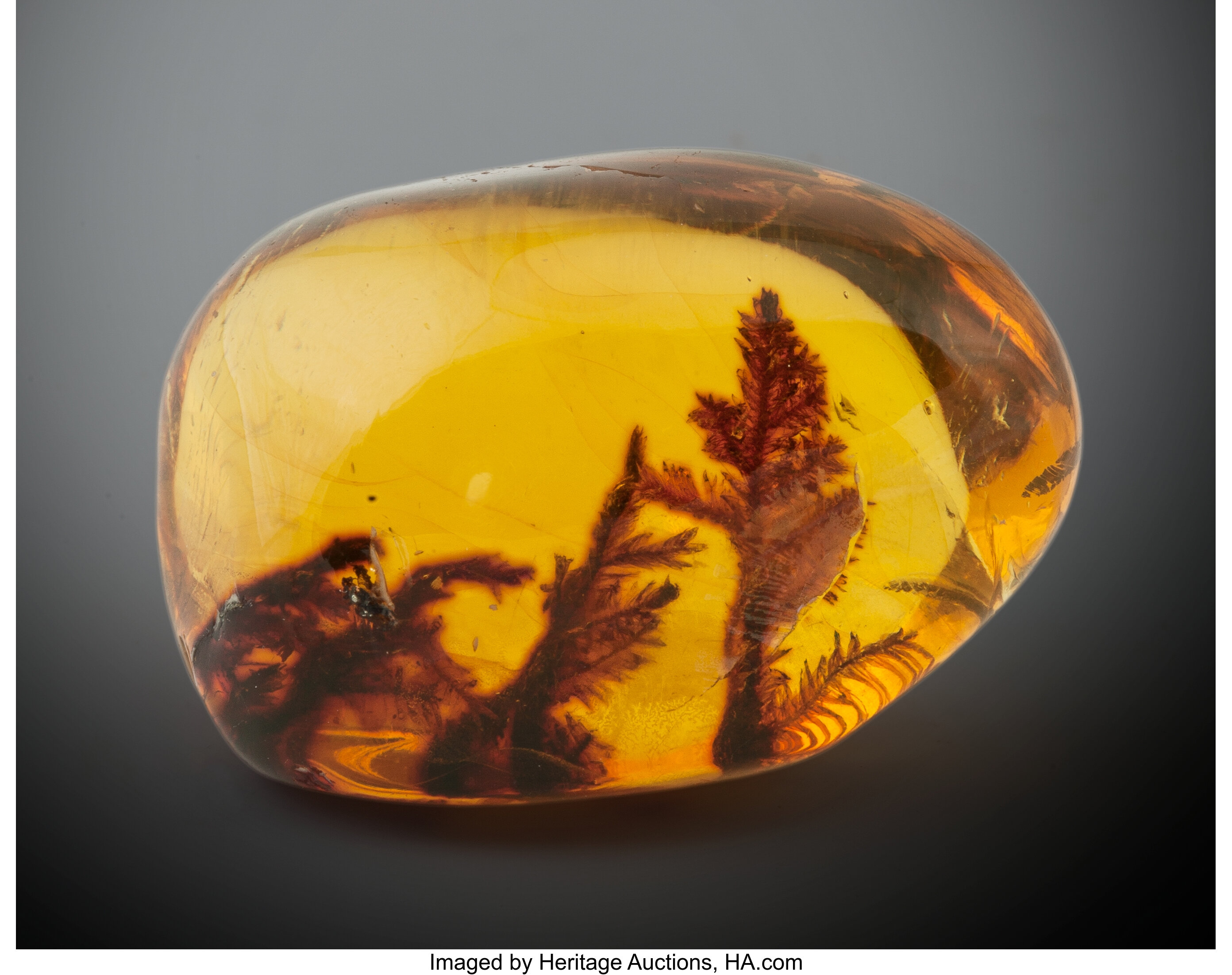 719 Natural Amber Drop With Inclusions Air Bubble Spider 