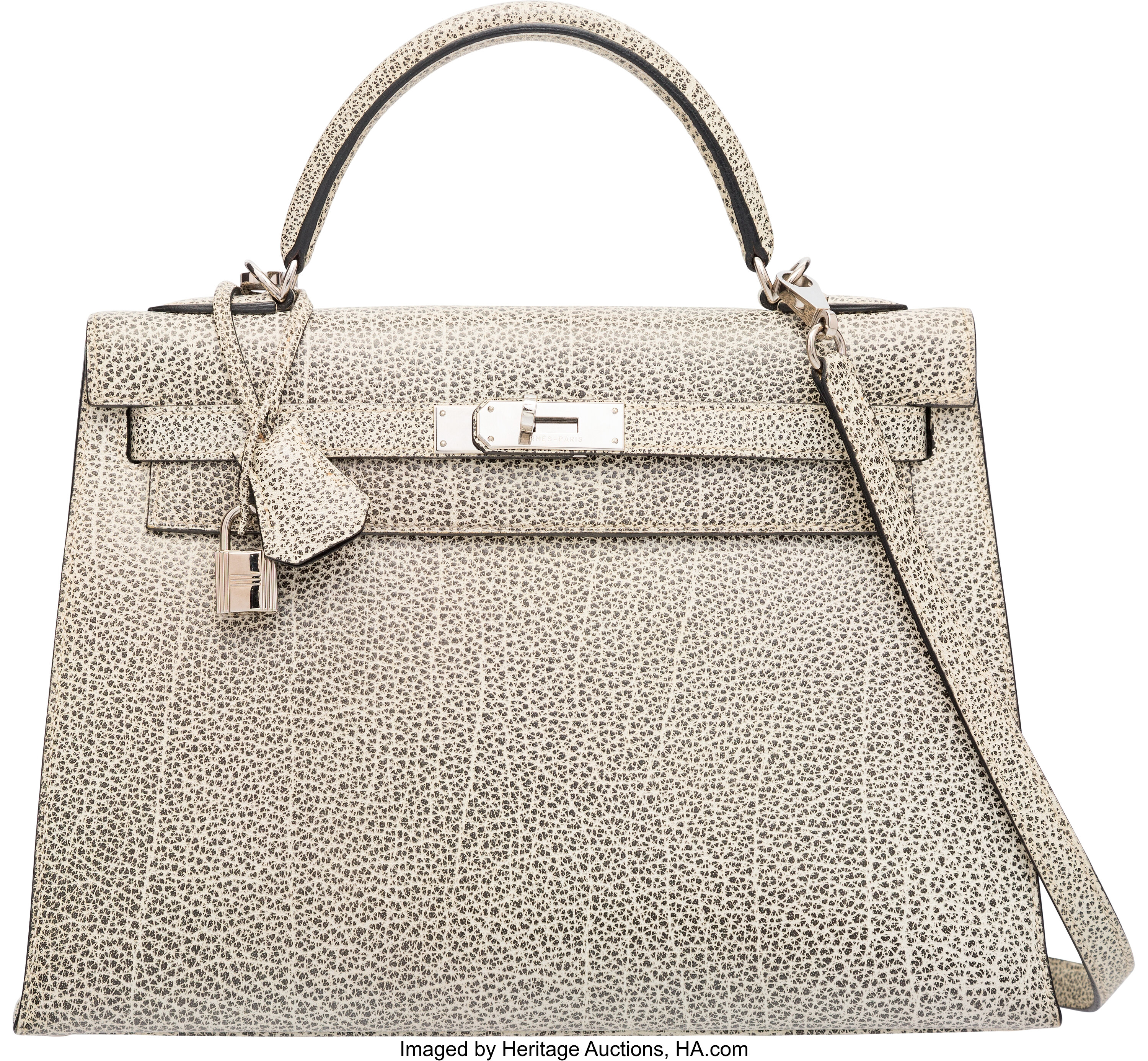 Hermes on sale dalmatian birkin