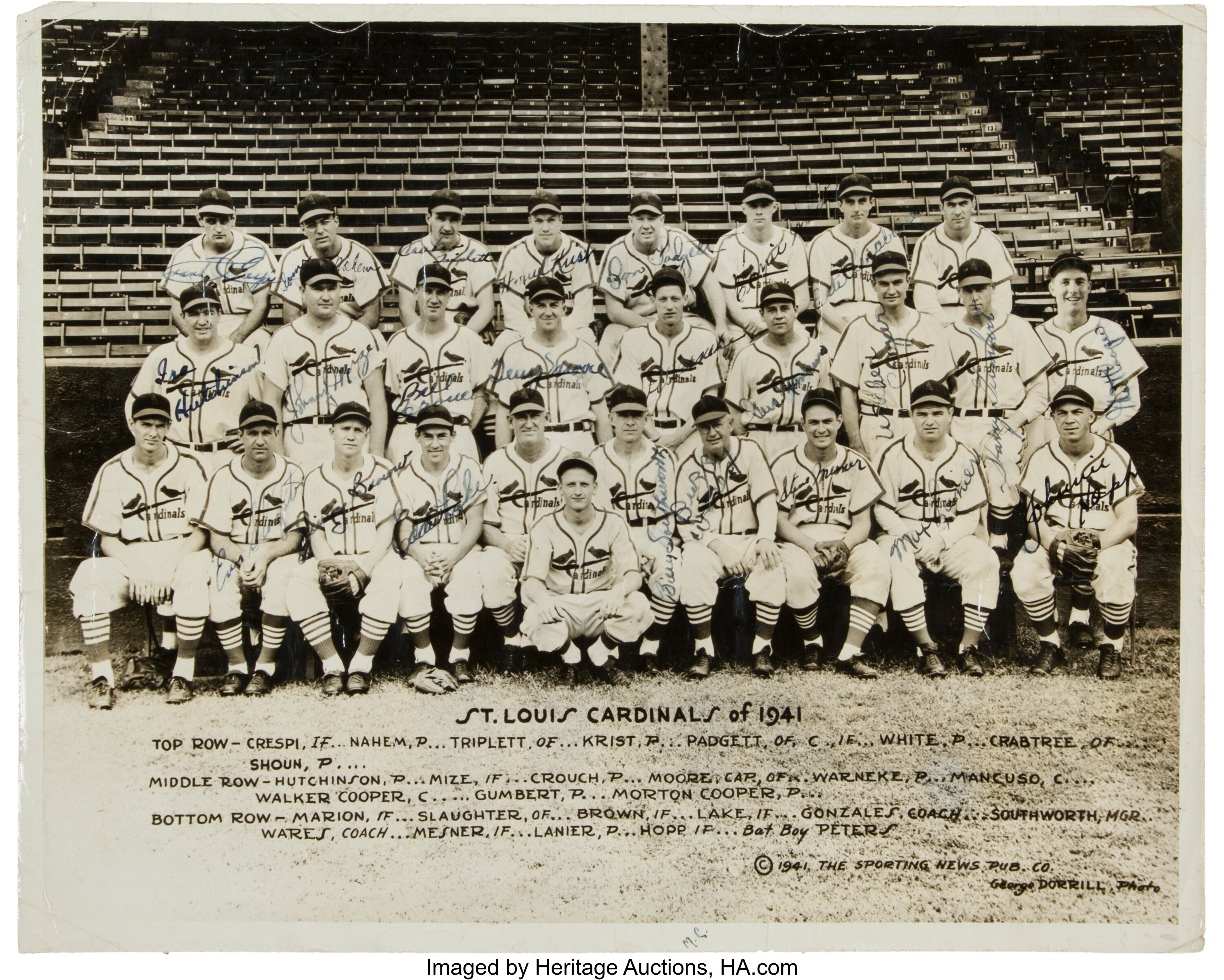 1941 St. Louis Cardinals Team Signed Photograph. Baseball