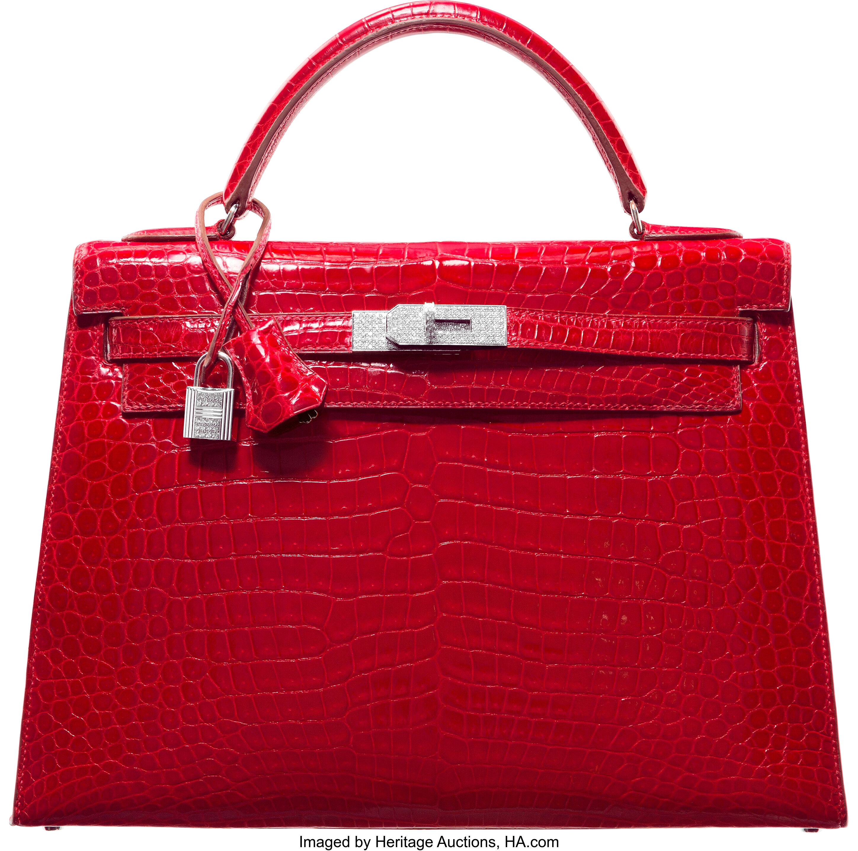 Hermes Diamond Encrusted Braise Shiny Porosus Birkin