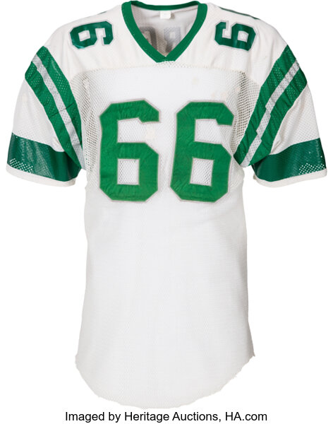 Bill Bergey Philadelphia Eagles Throwback Football Jersey – Best Sports  Jerseys