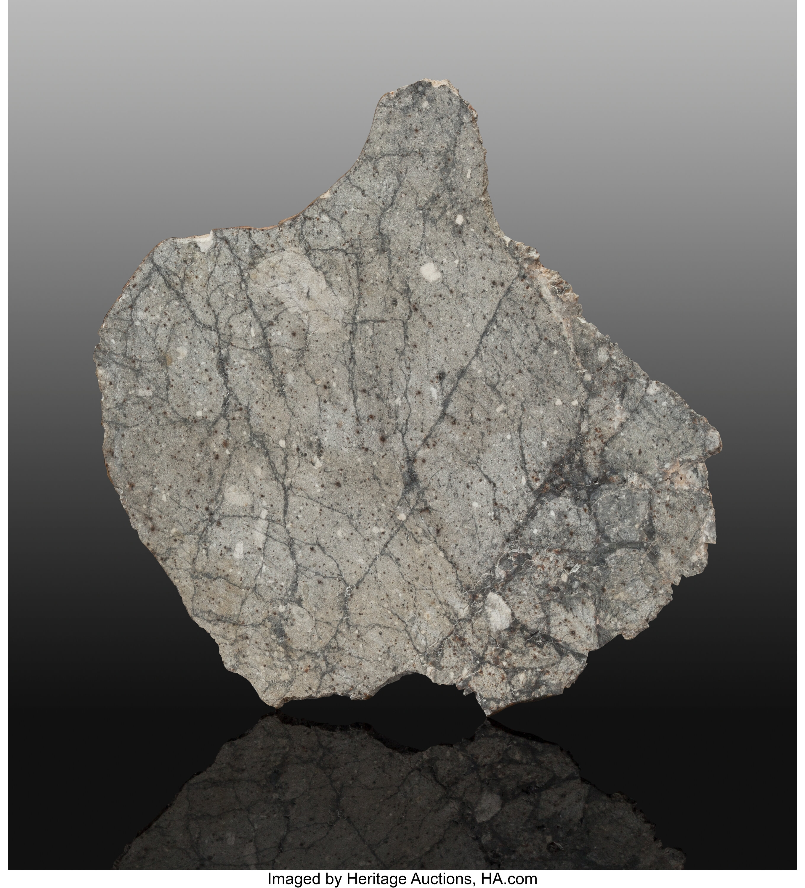 NWA 8022 Lunar Slice. Lunar Feldspathic Breccia - The Moon. | Lot ...