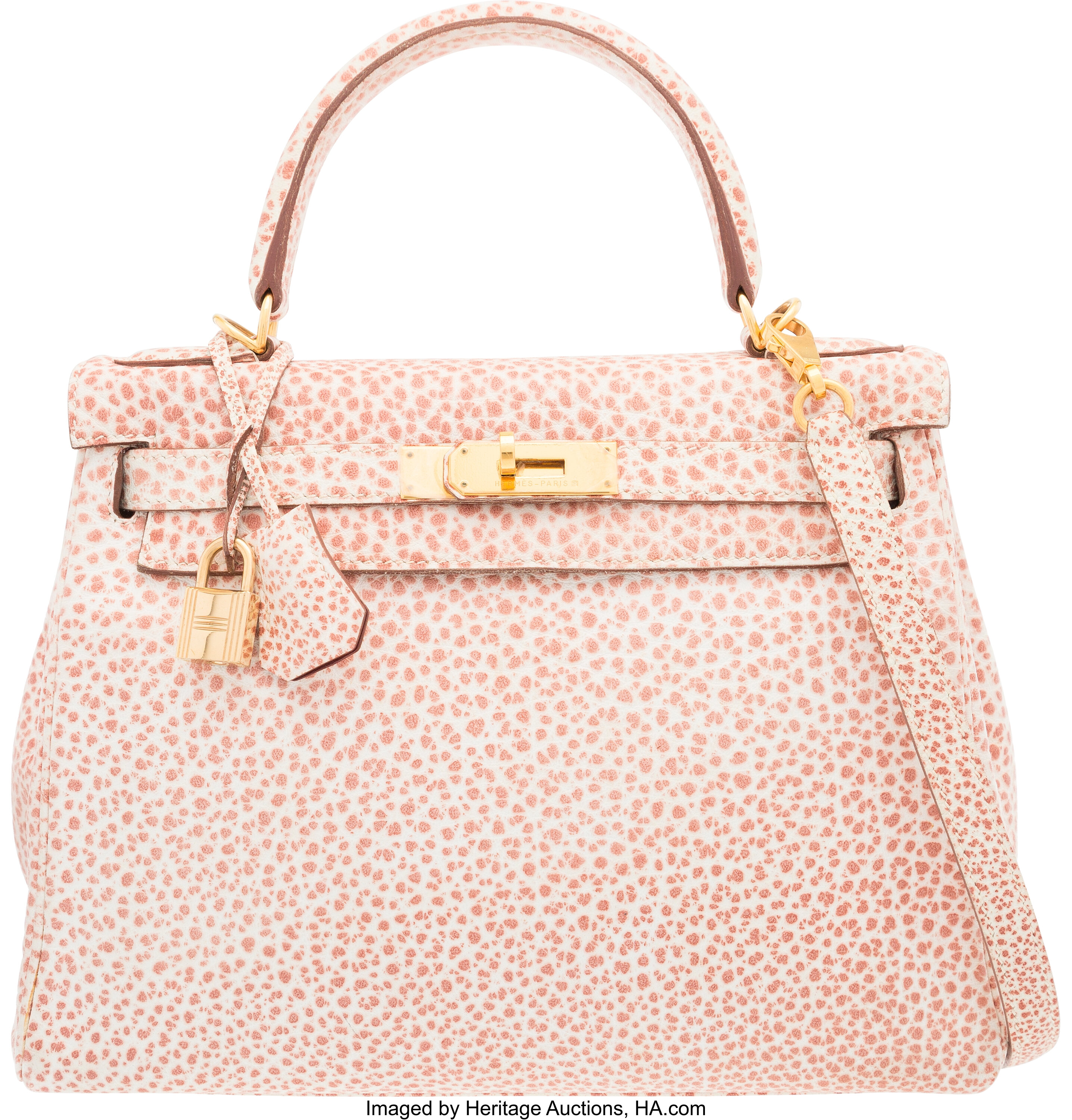 Dalmatian best sale hermes bag