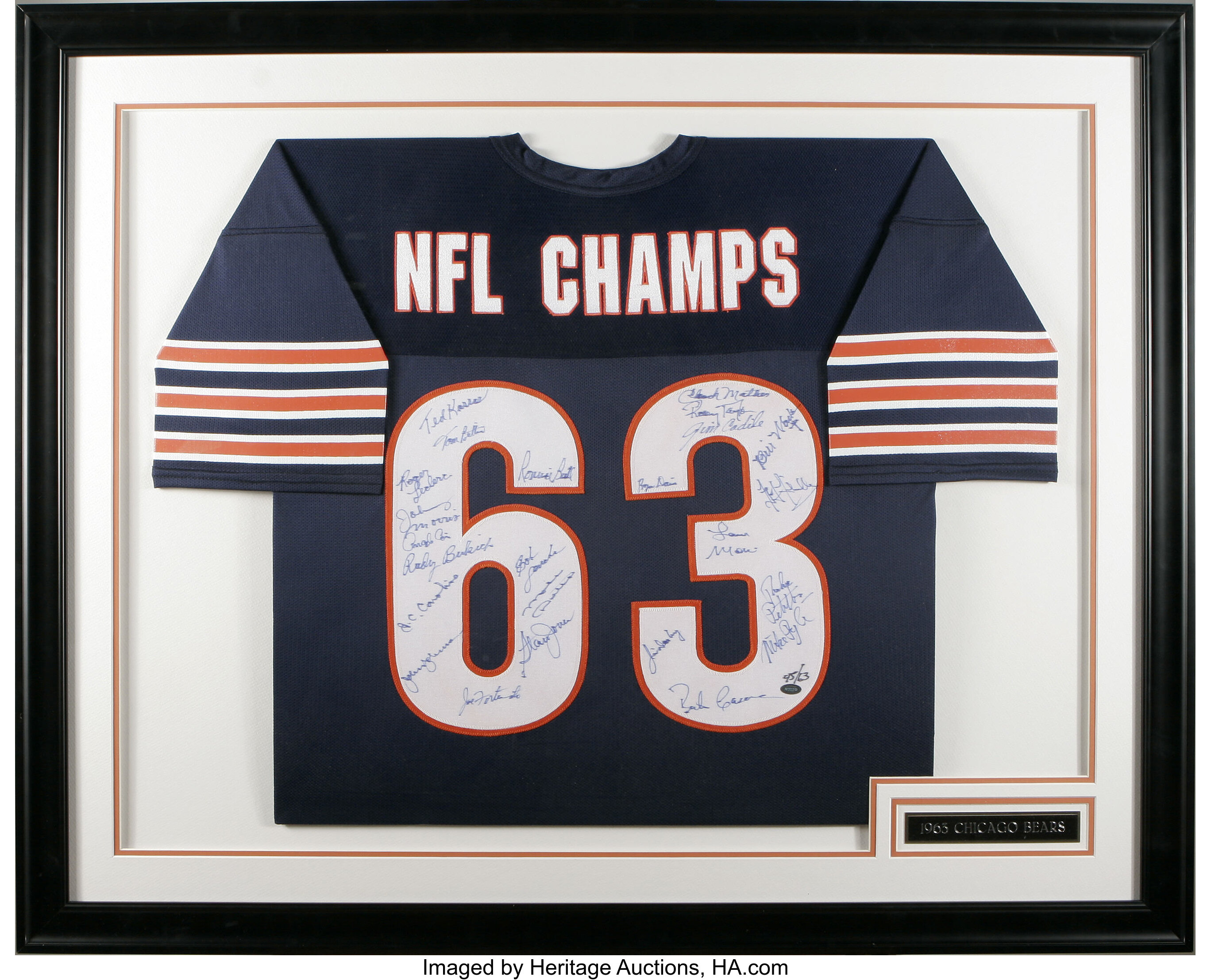 1963 Chicago Bears World Champions Signed Football PSA/DNA COA 41  Signatures - Scottsdale Cards 2021