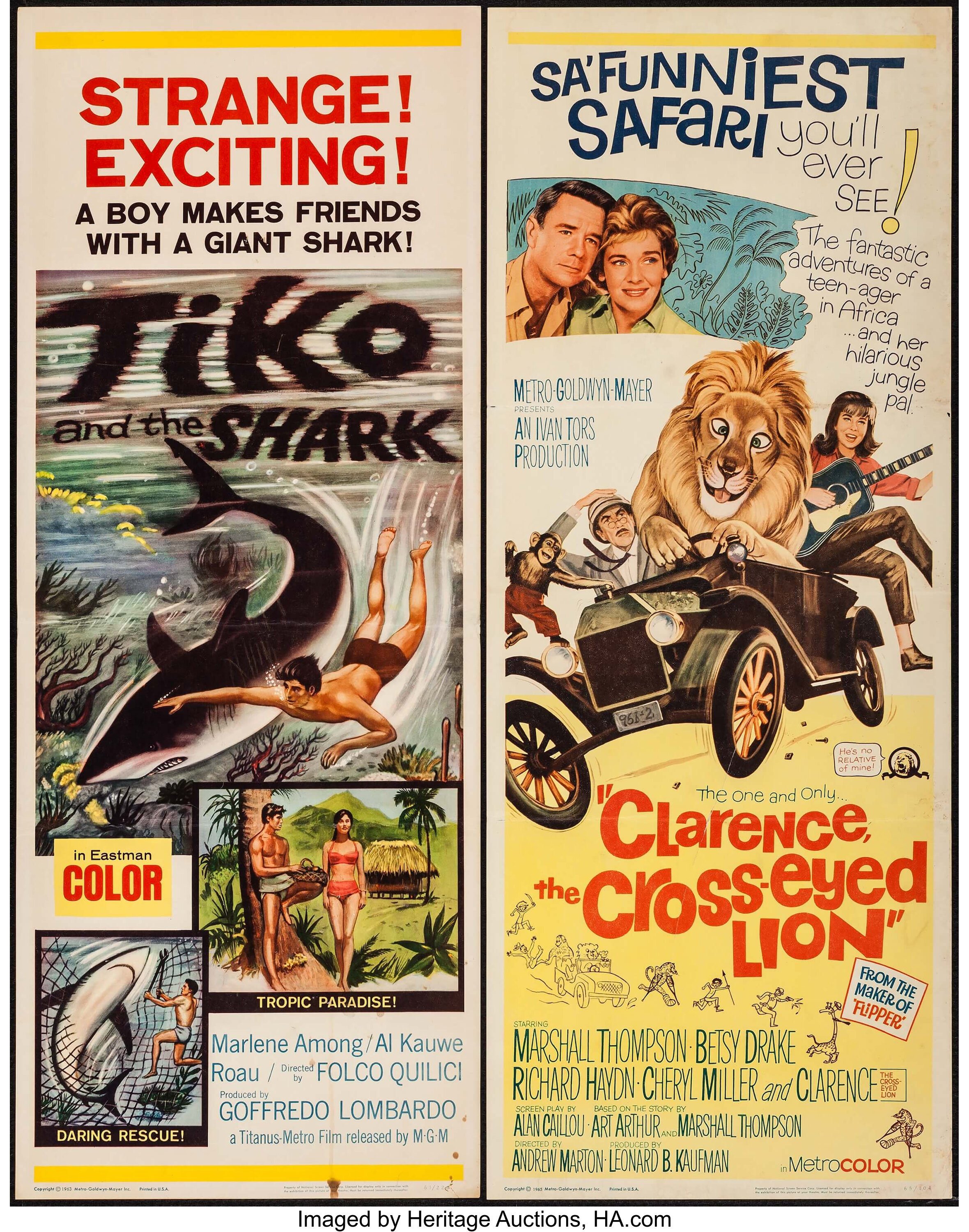 Search: Tiko and the Shark