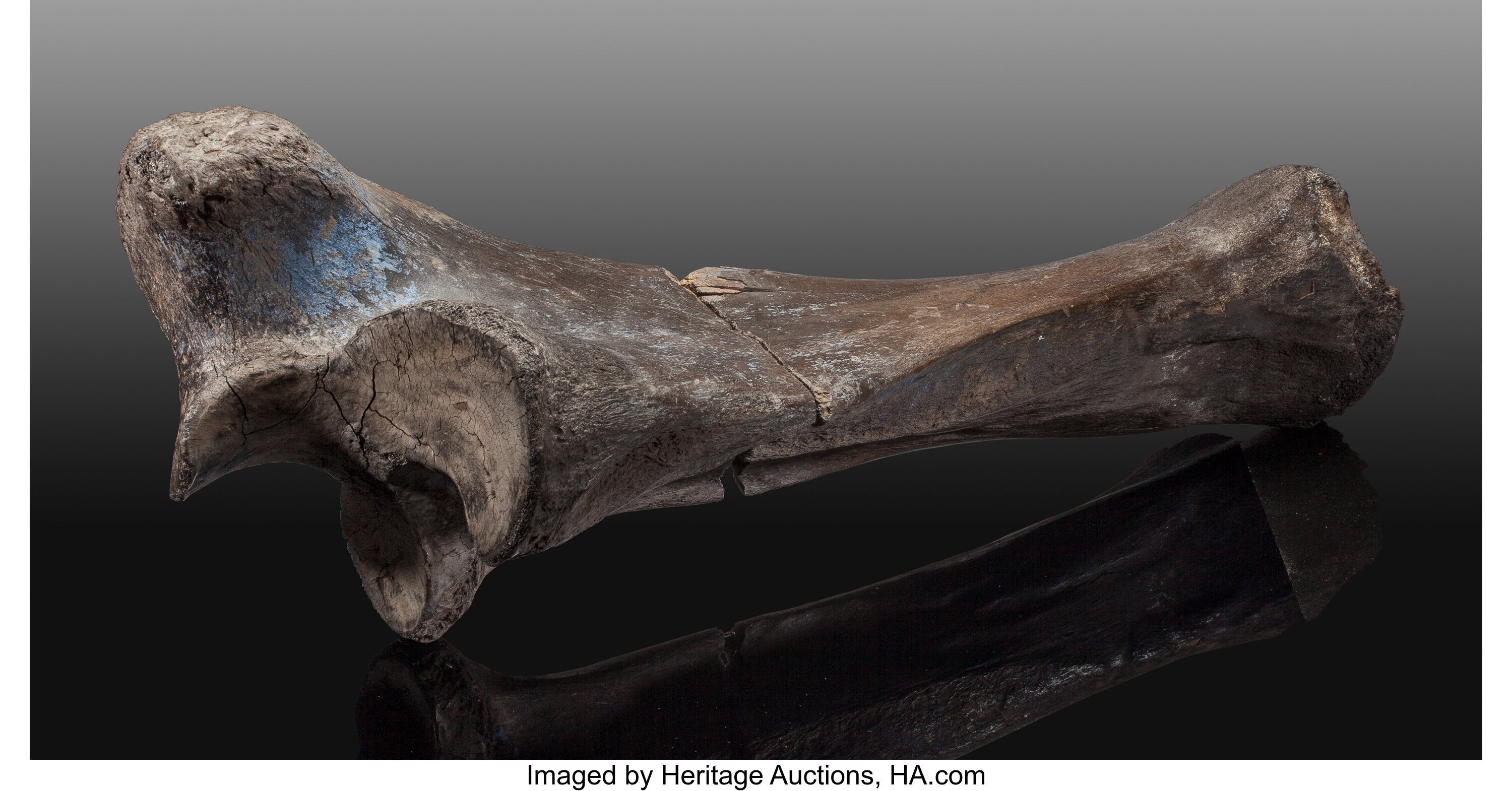 are mammoth bones good for dogs