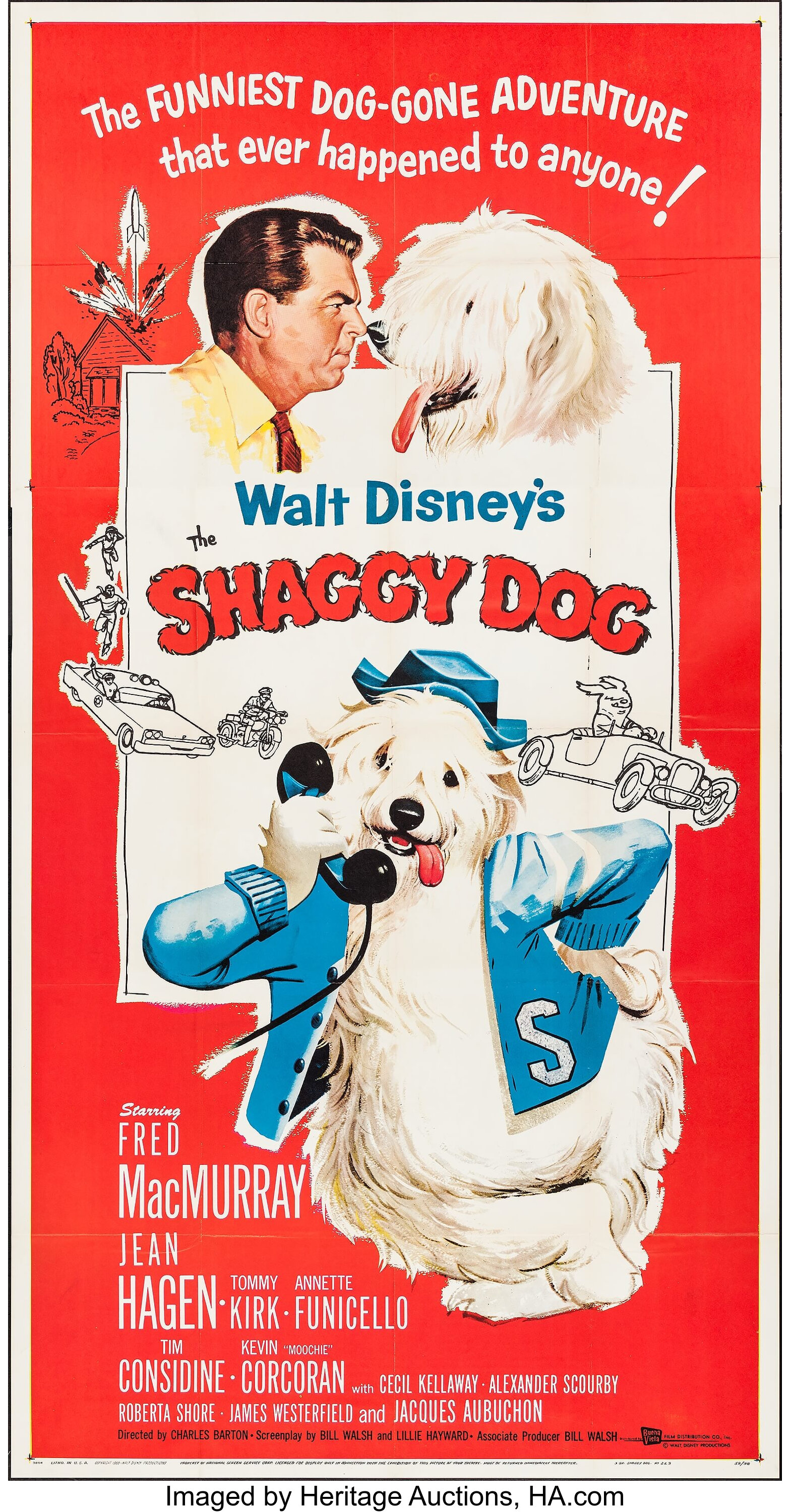 shaggy dog movie