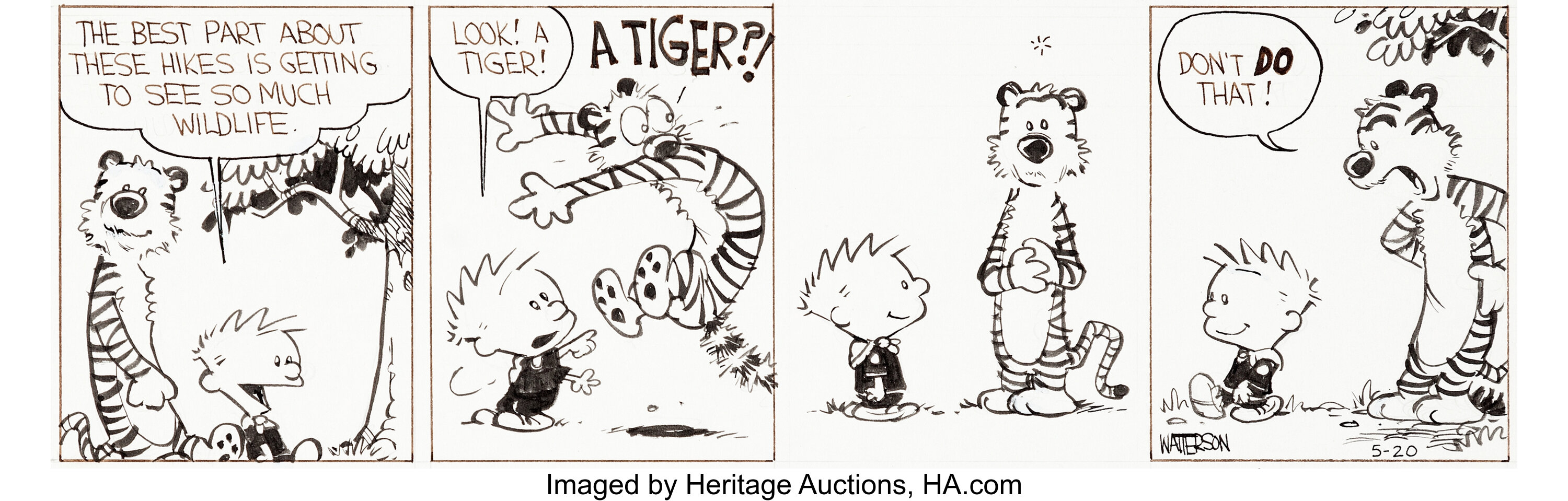 Bill Watterson Calvin and Hobbes Daily Comic Strip Original Art ...