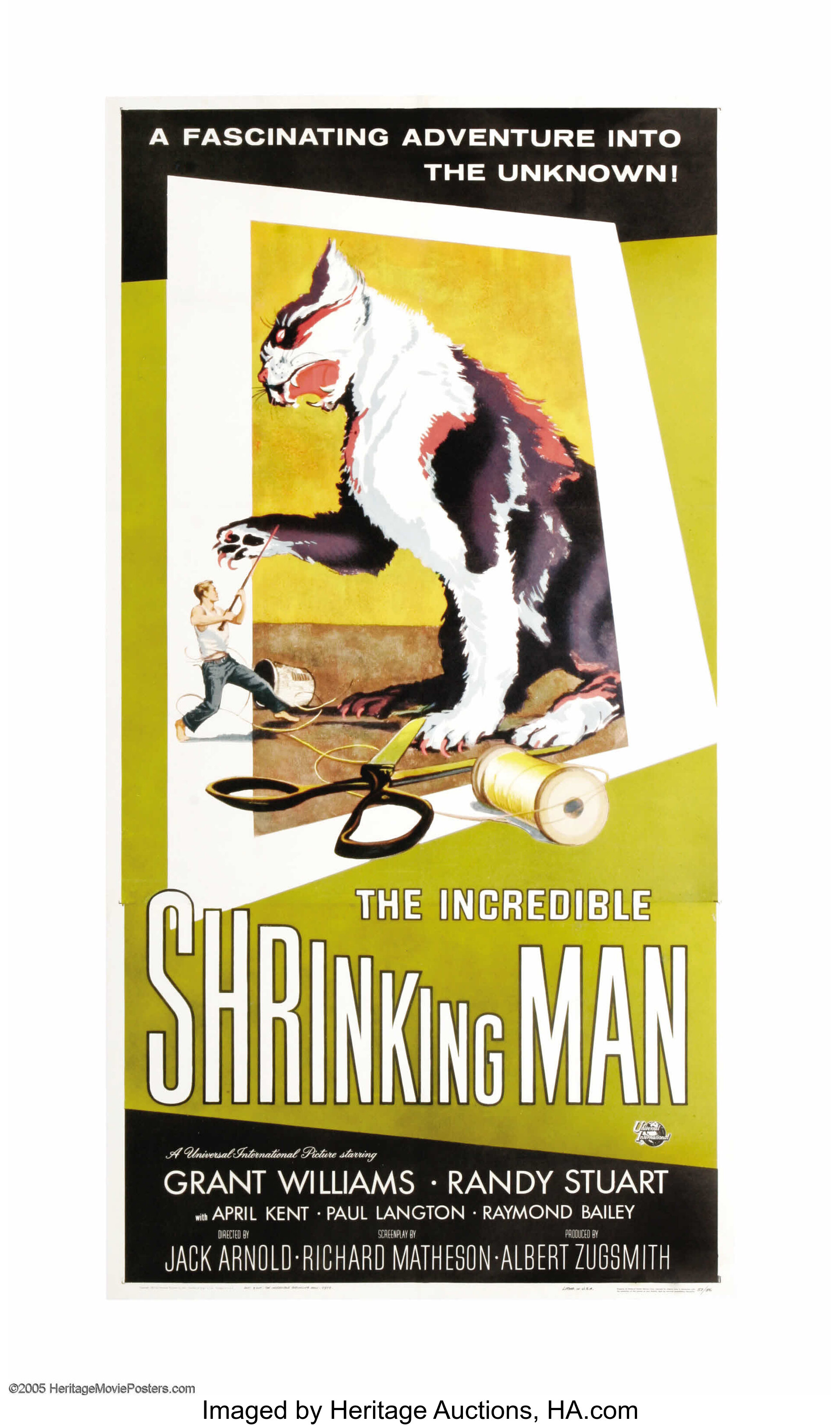 incredible shrinking man poster