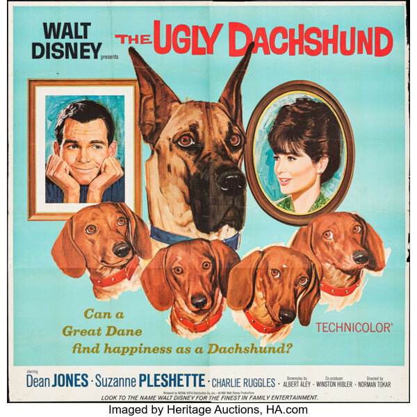 Watch the ugly dachshund online free cheap