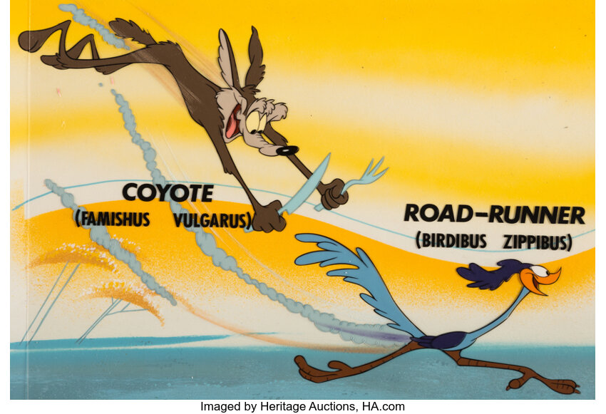 roadrunner and wile e coyote backgrounds