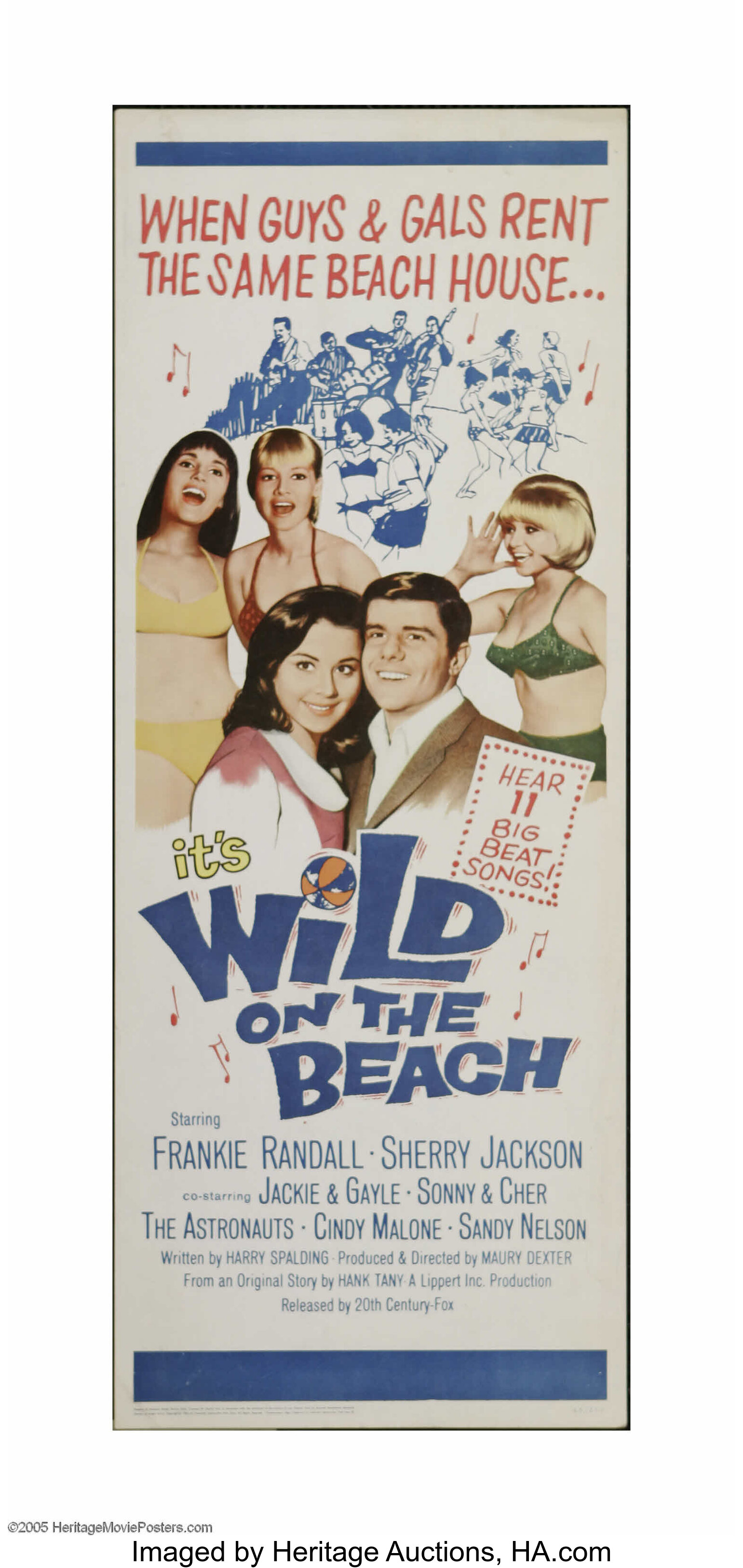 Wild On The Beach 20th Century Fox 1965 Insert 14 X 36