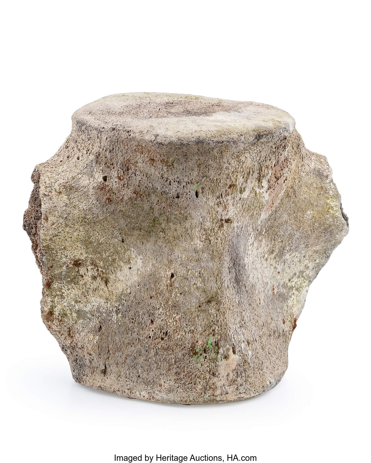 Fossil Whale Vertebra. Balaenoptera sp.. Miocene/Pliocene. Yorktown | Lot  #77009 | Heritage Auctions