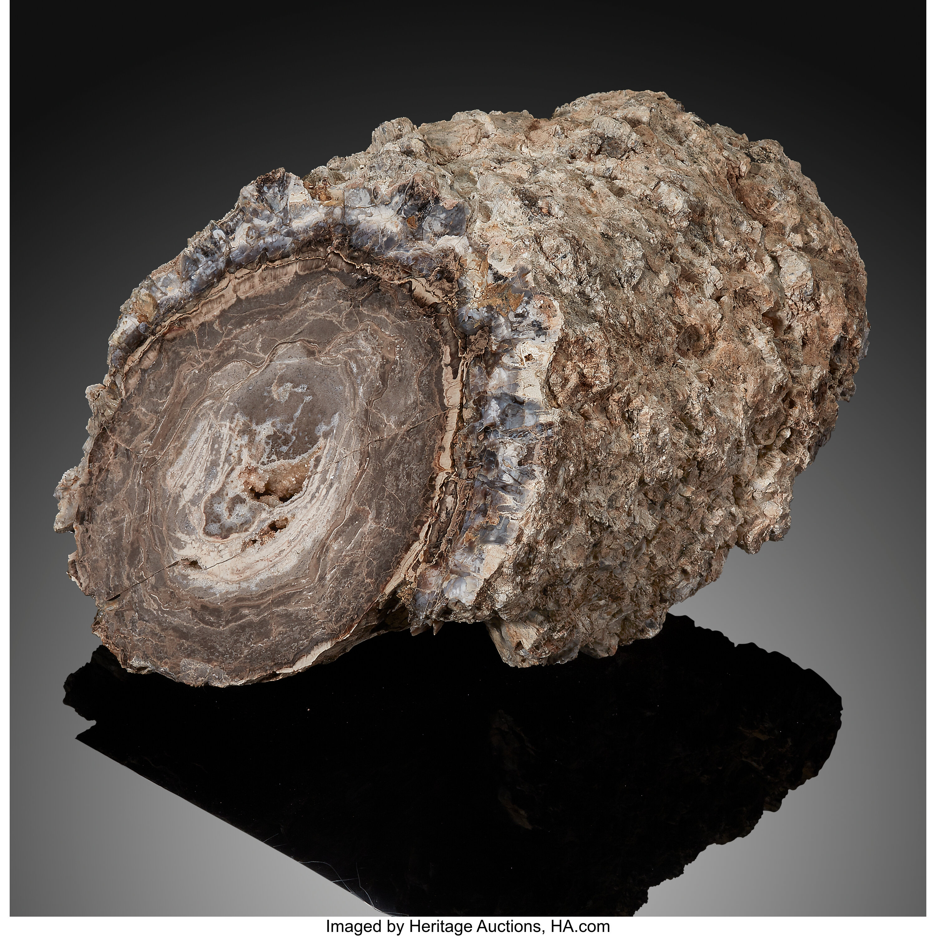 morrison formation fossils maps