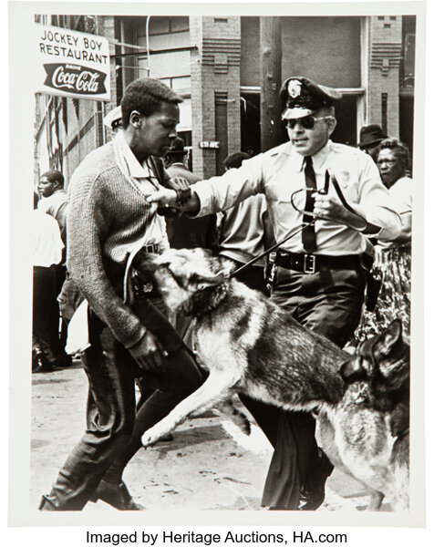 civil rights marches dogs