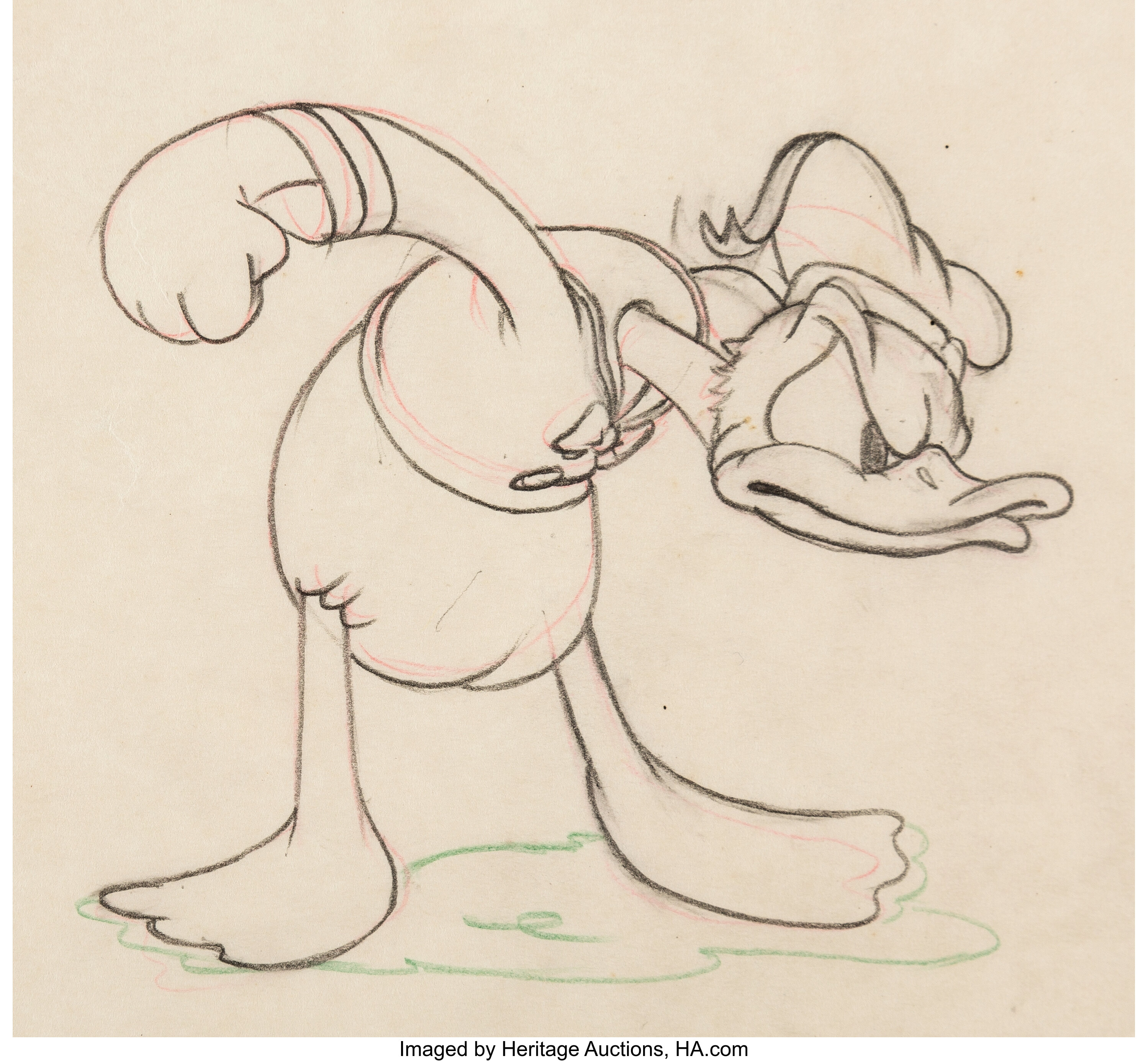 Donald Duck Animation Drawing (Walt Disney, c. 1930s).... Animation