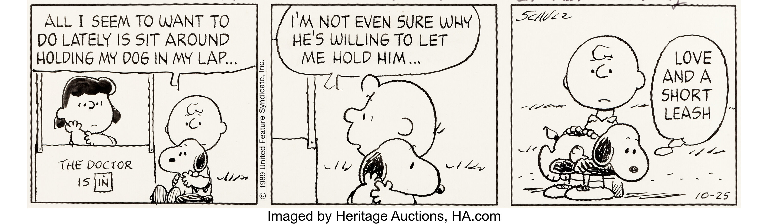 Peanuts Comic Strip