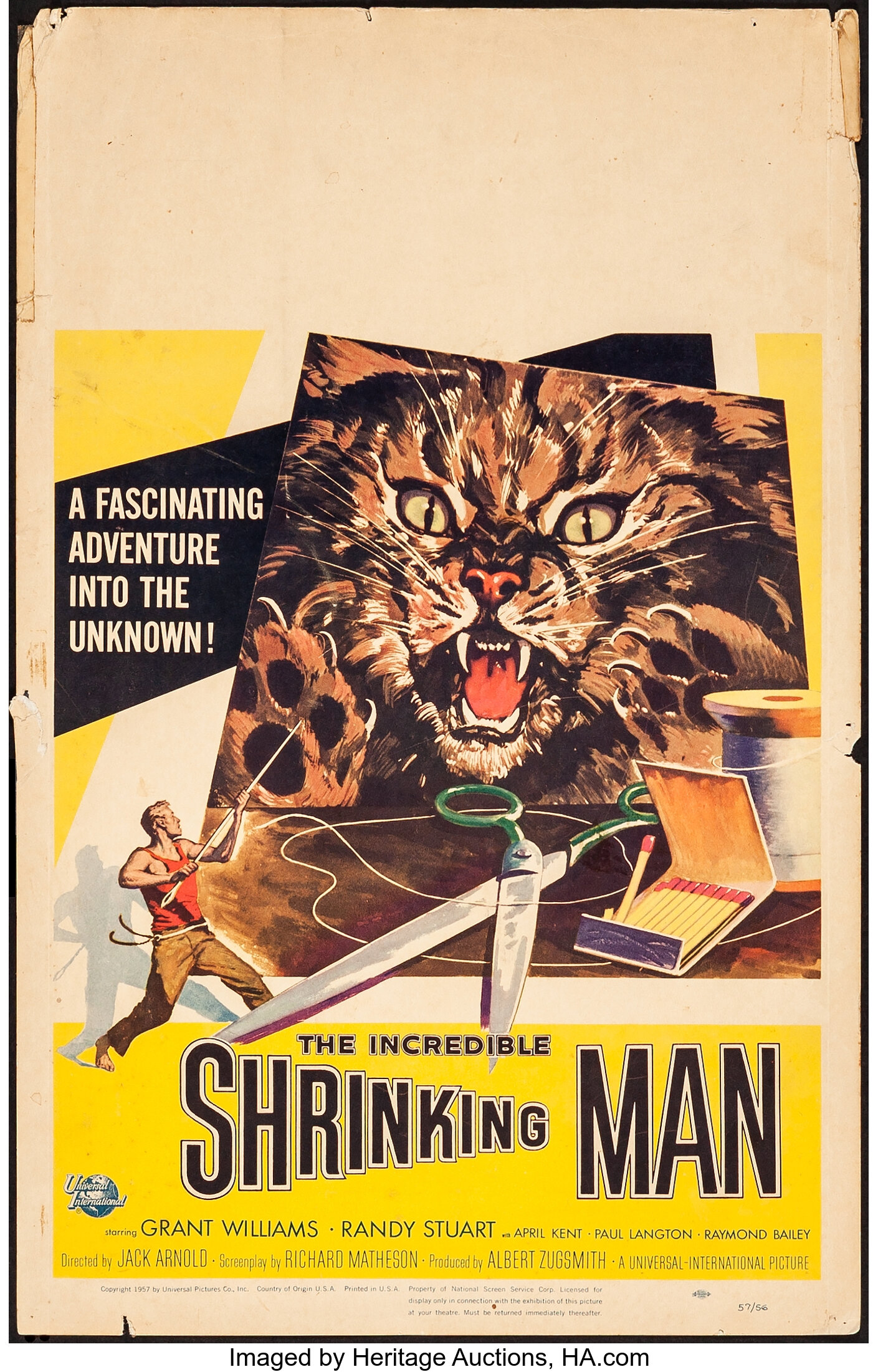 incredible shrinking man poster