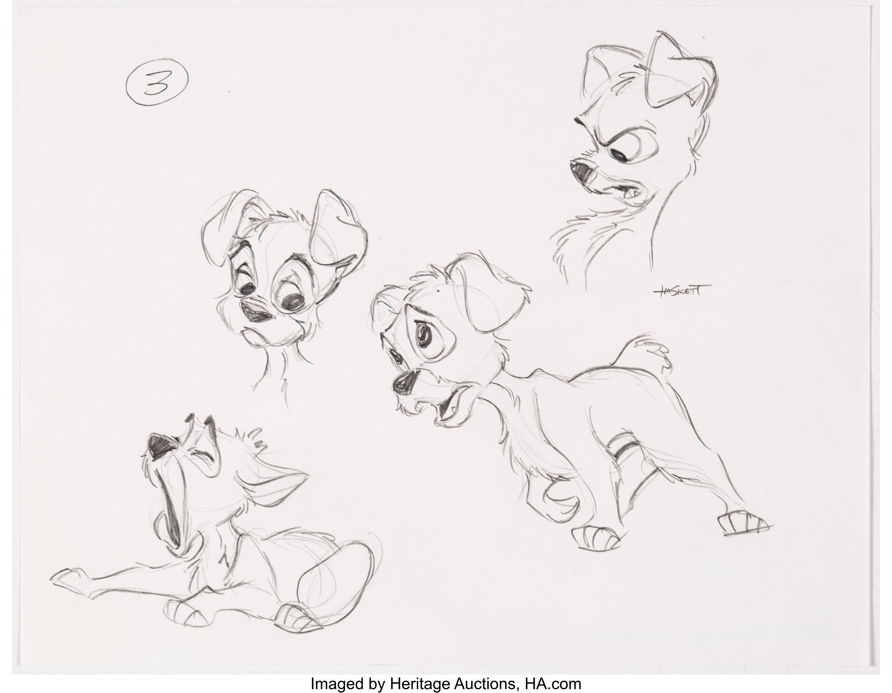 lady and the tramp 2 scamp coloring pages