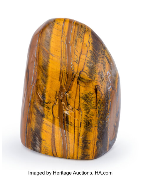 Tigers eye south africa new arrivals