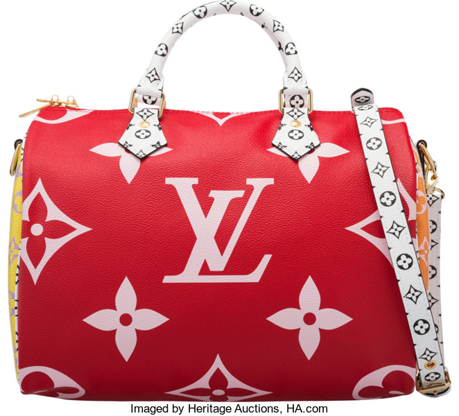 Louis Vuitton Limited Edition Giant Monogram Canvas Speedy